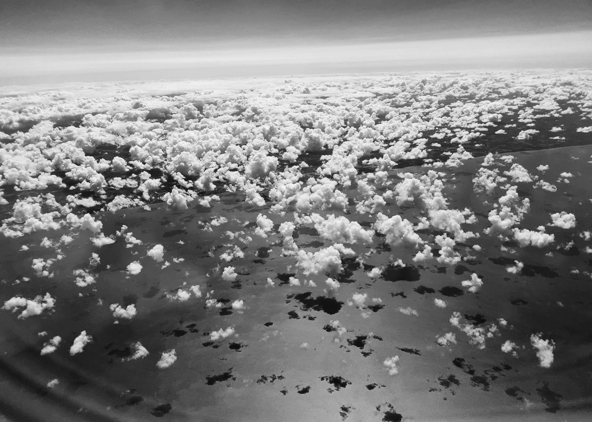 Sold in The Walnut Gallery