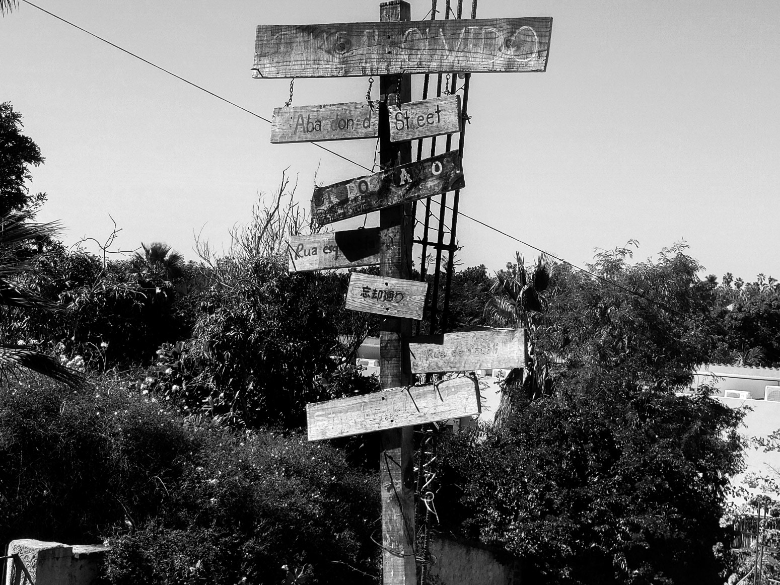 Sold in The Walnut Gallery 