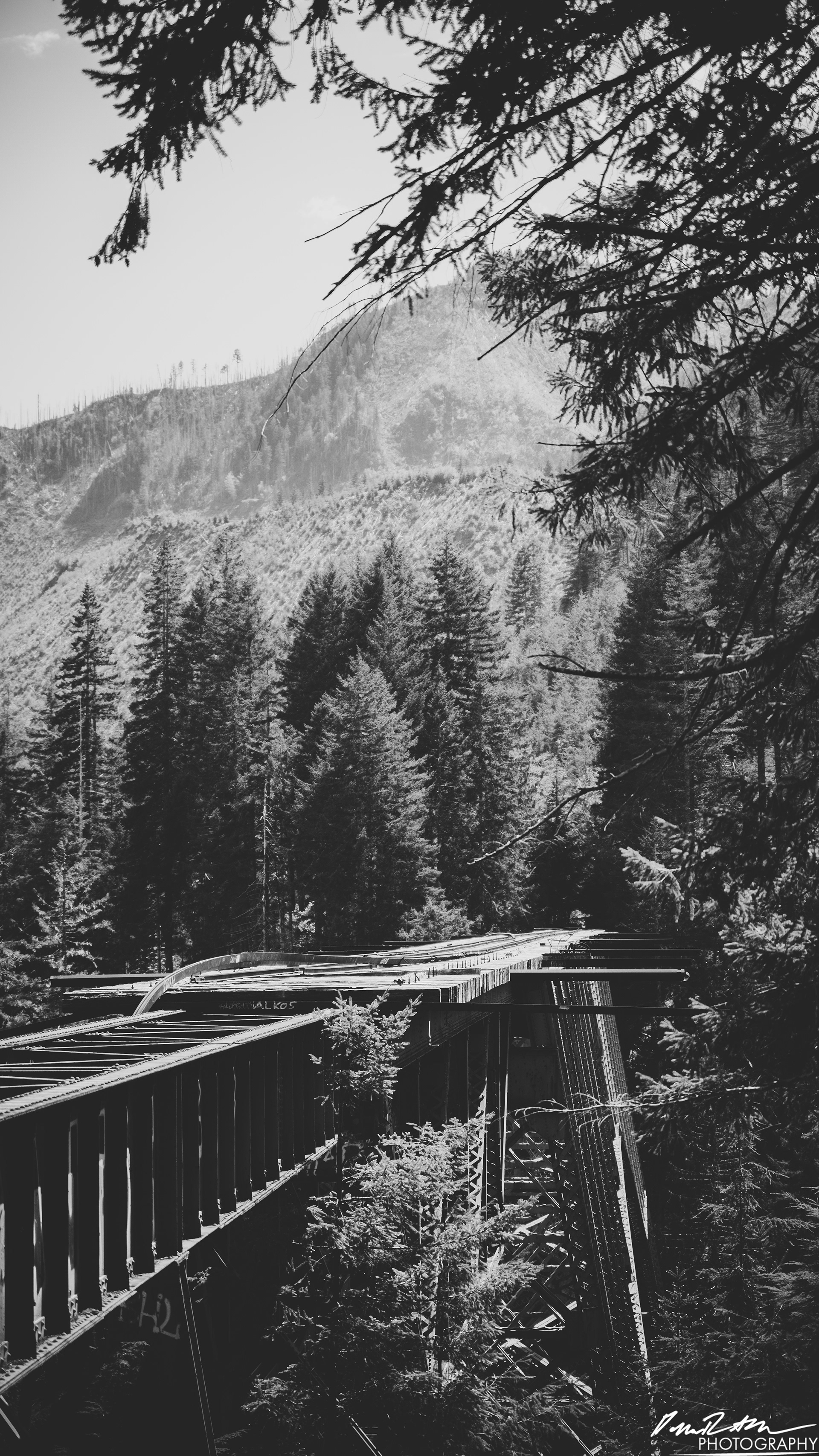 CAUTION - Olympic National Forest