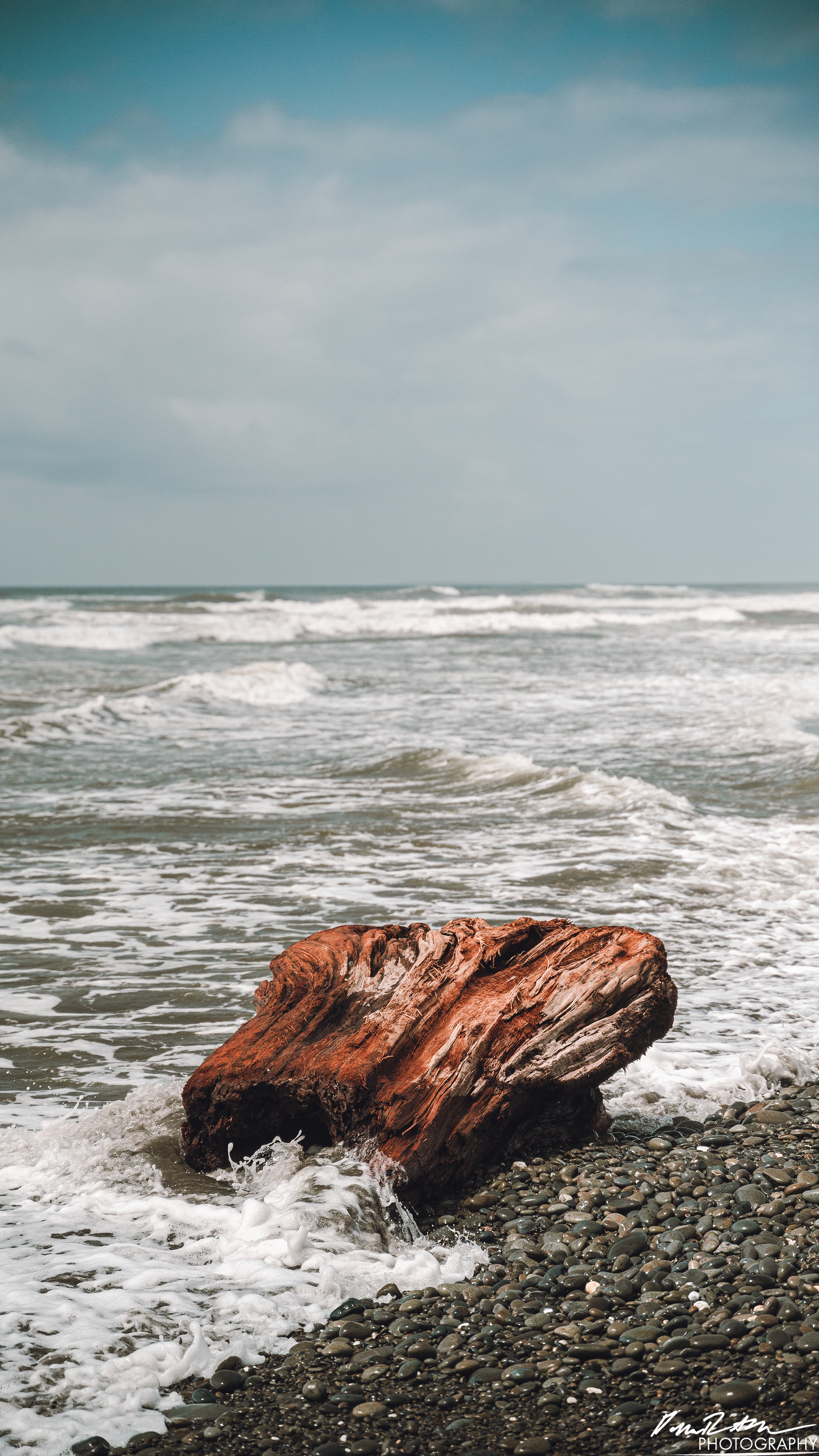 The Beach of Life - Kalaloch 