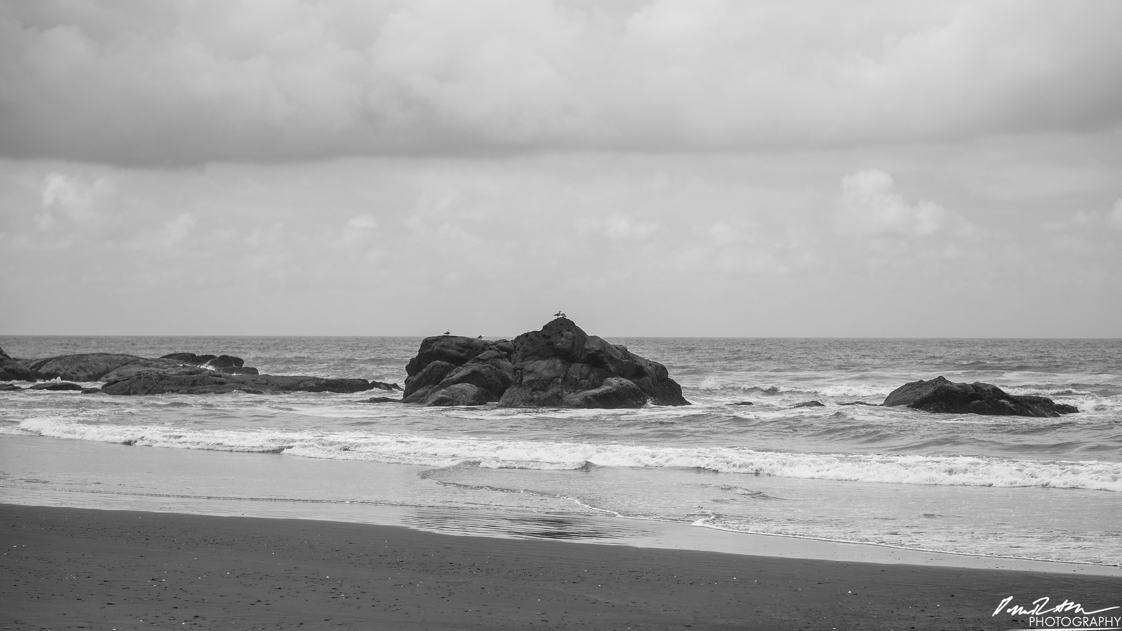 The Beach of Life - Kalaloch 