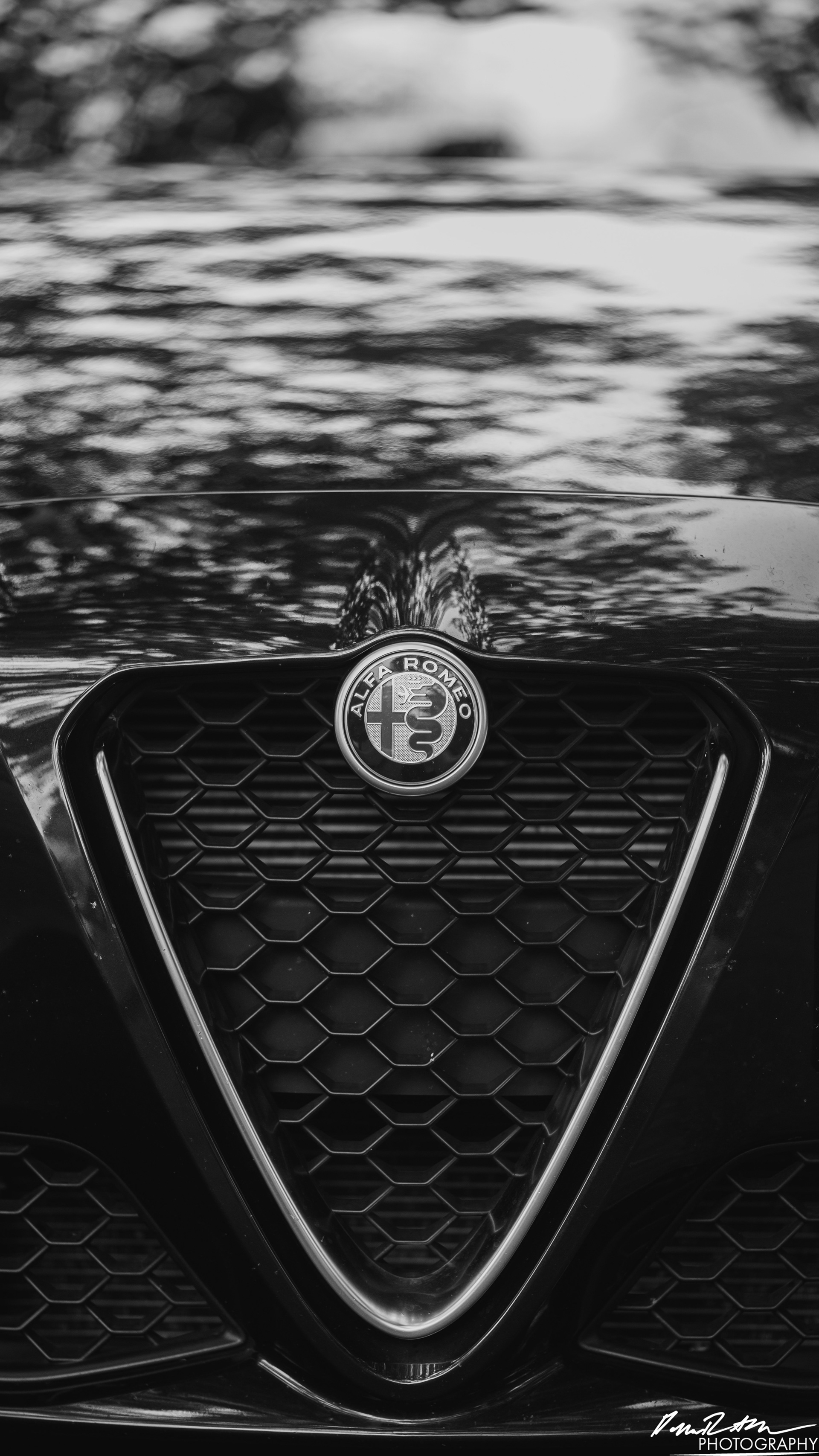 Green Machine - Tacoma WAGreen Machine - Tacoma WA