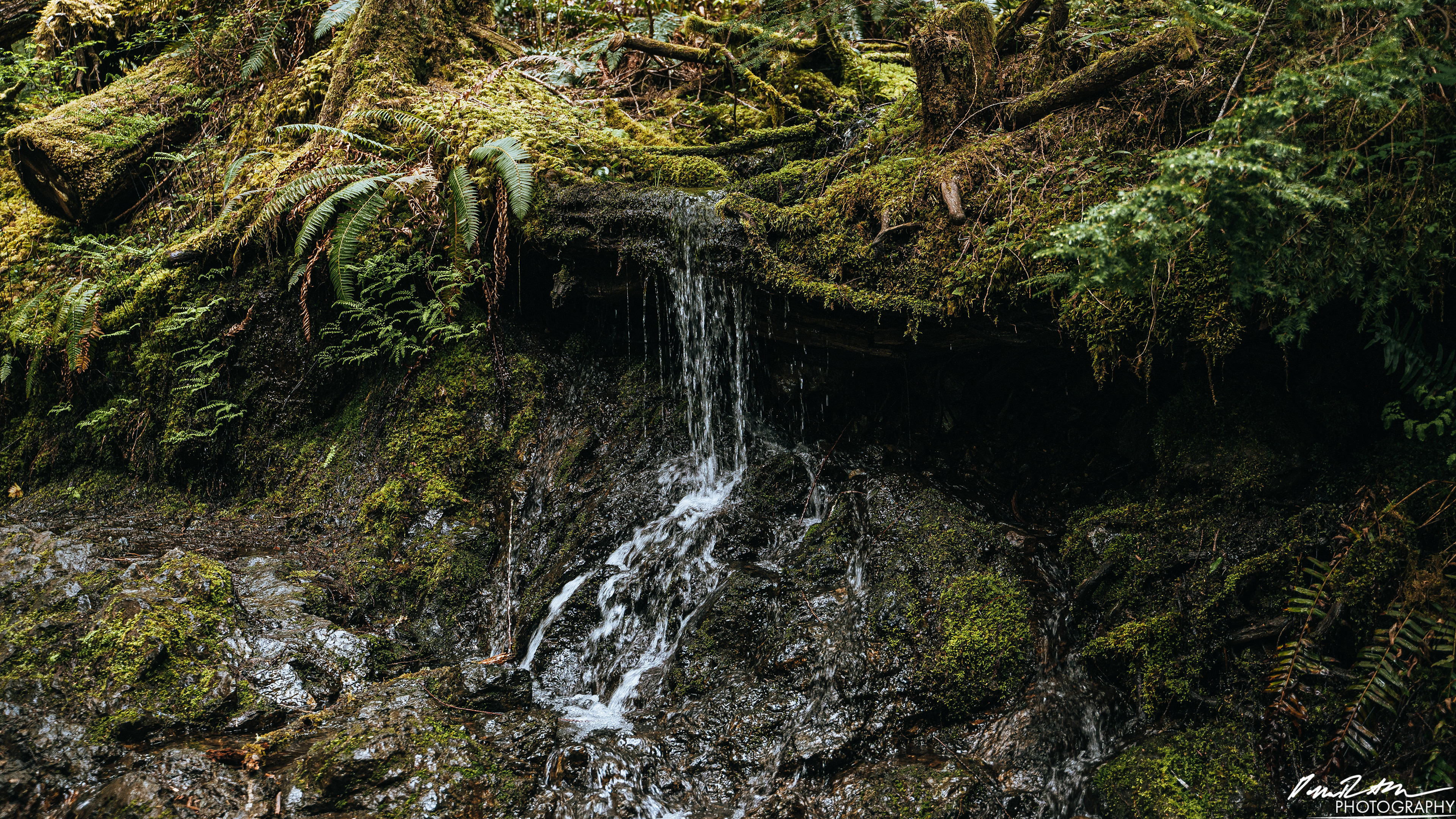 Snow Melt - Lena Lake