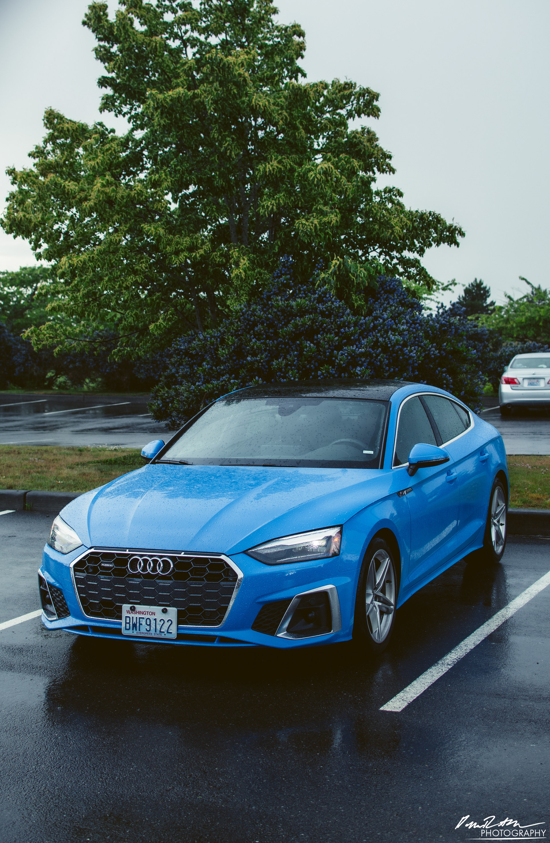 Color of Water, Dupont WA