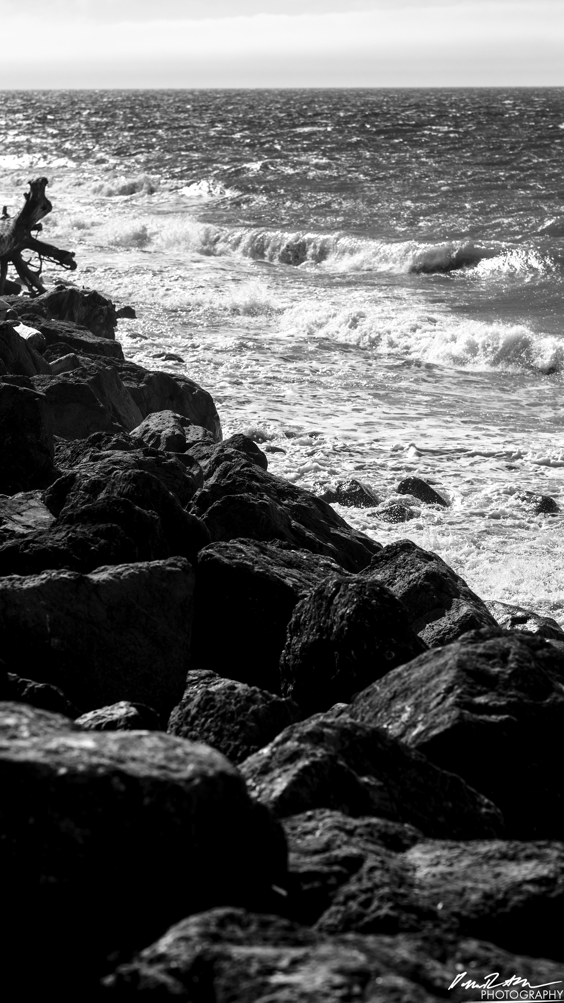 The Open Sea - Port Angeles