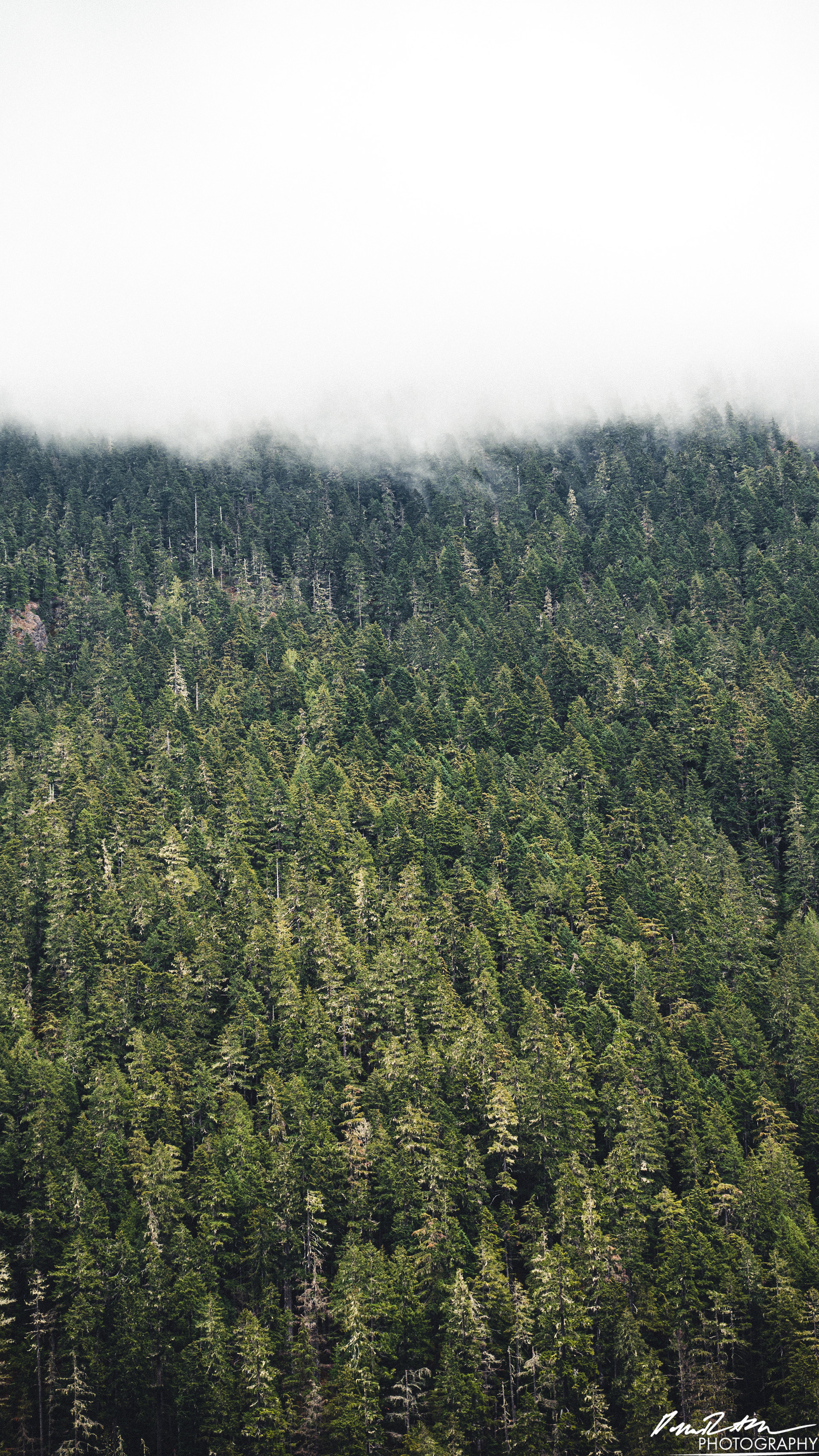 Snow Melt - Lena Lake