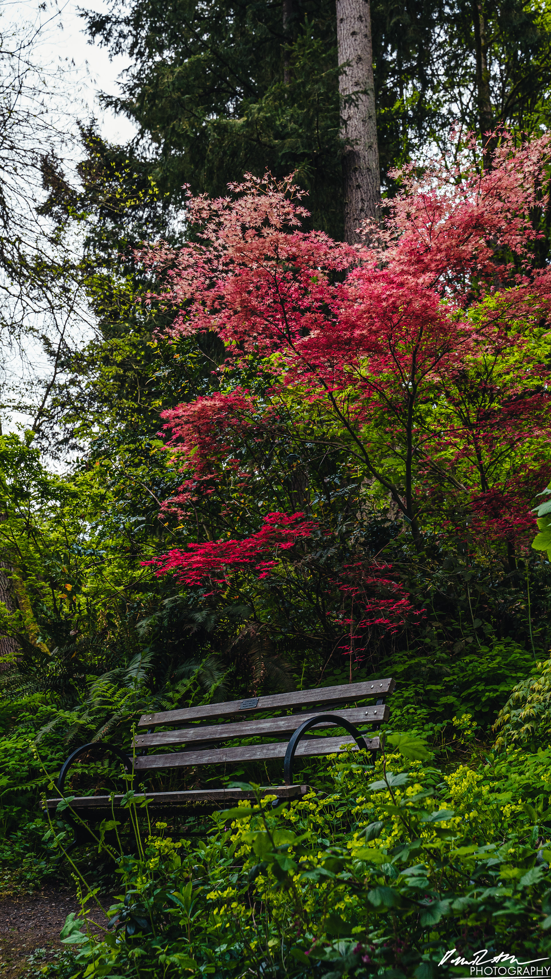 All Alone - Seattle WA
