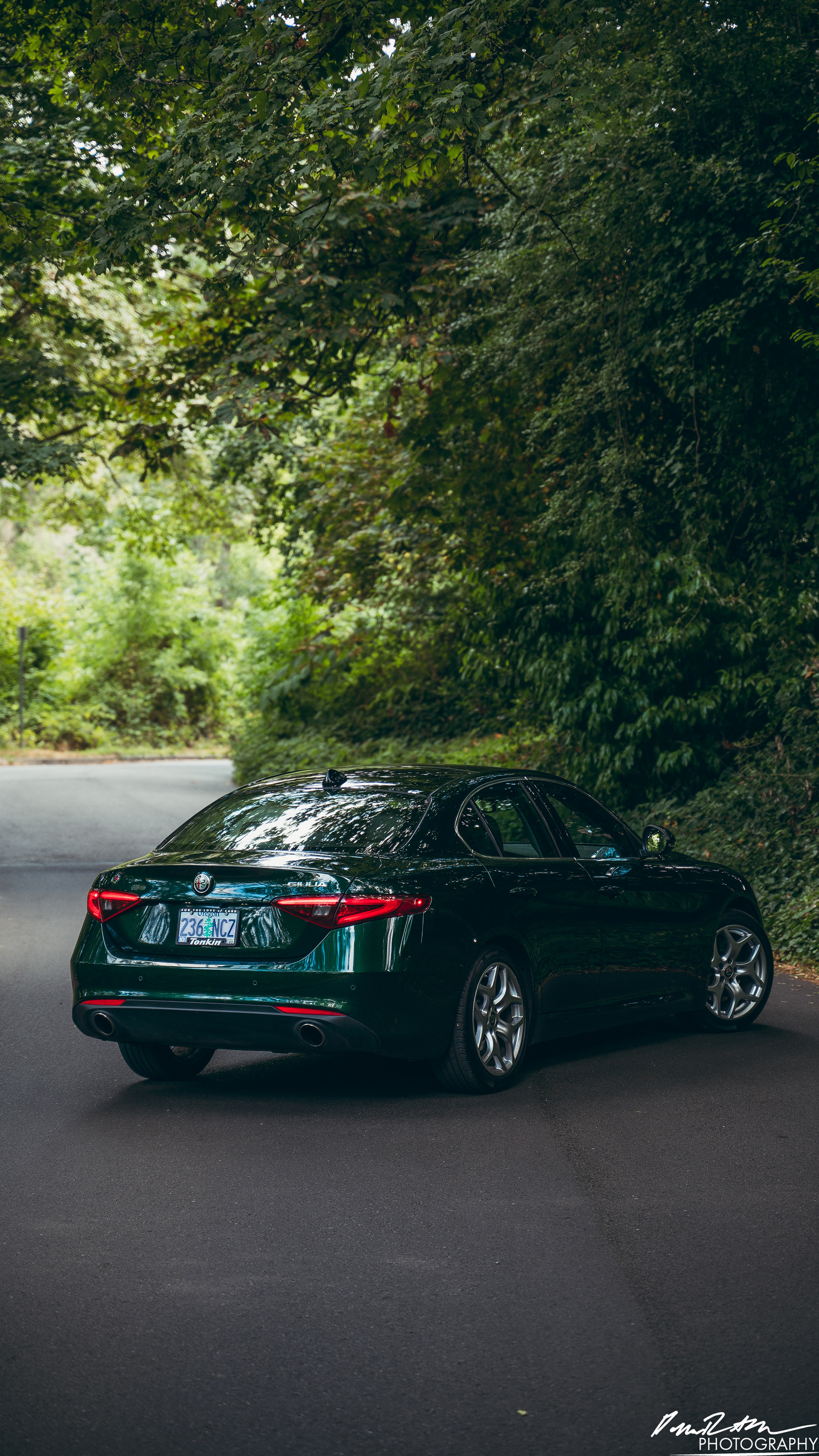 Italian Excellence - Seattle WA