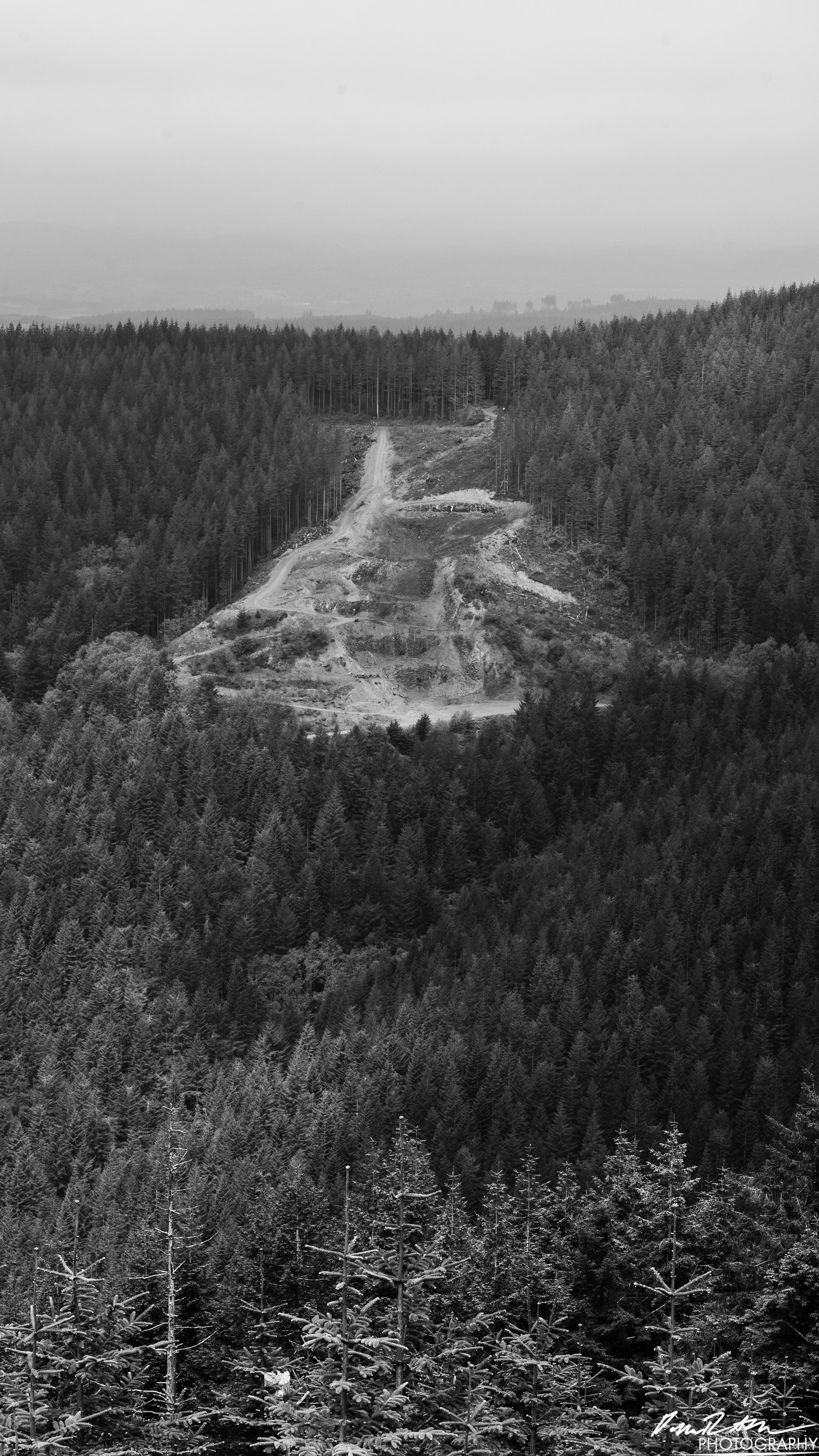 Numbers Station - Olympia WA