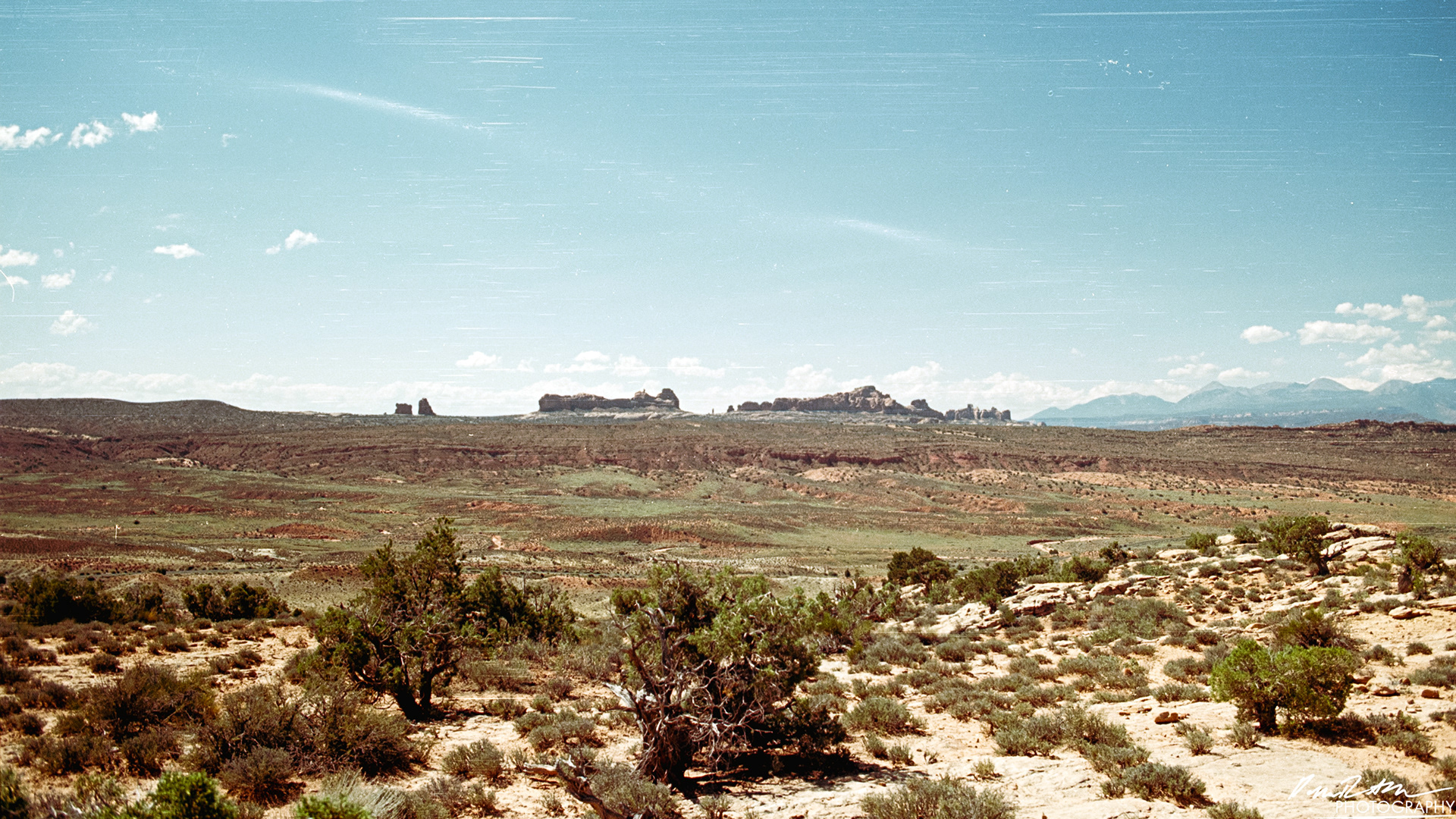 Arches on 35mm - Arches National Park