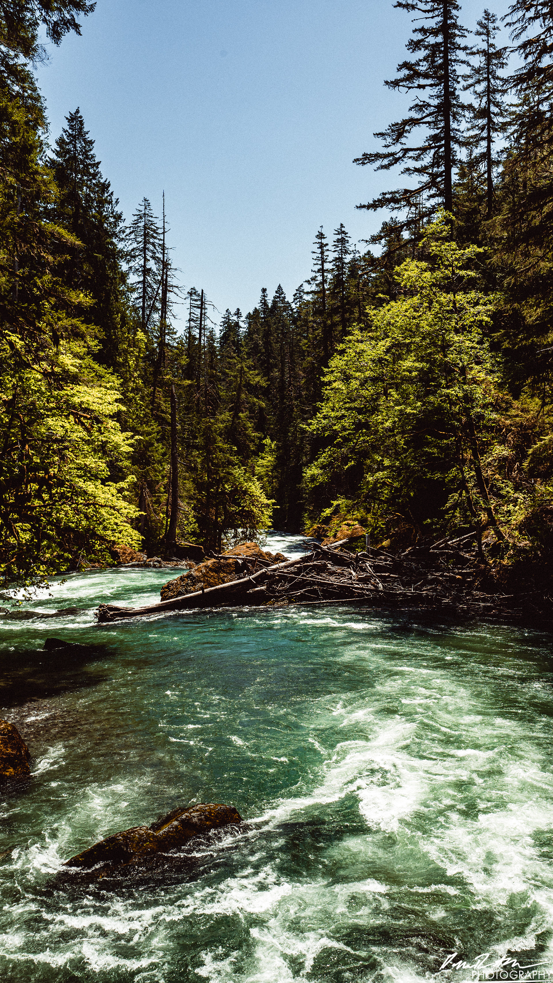 Rapids - Lake Cushman