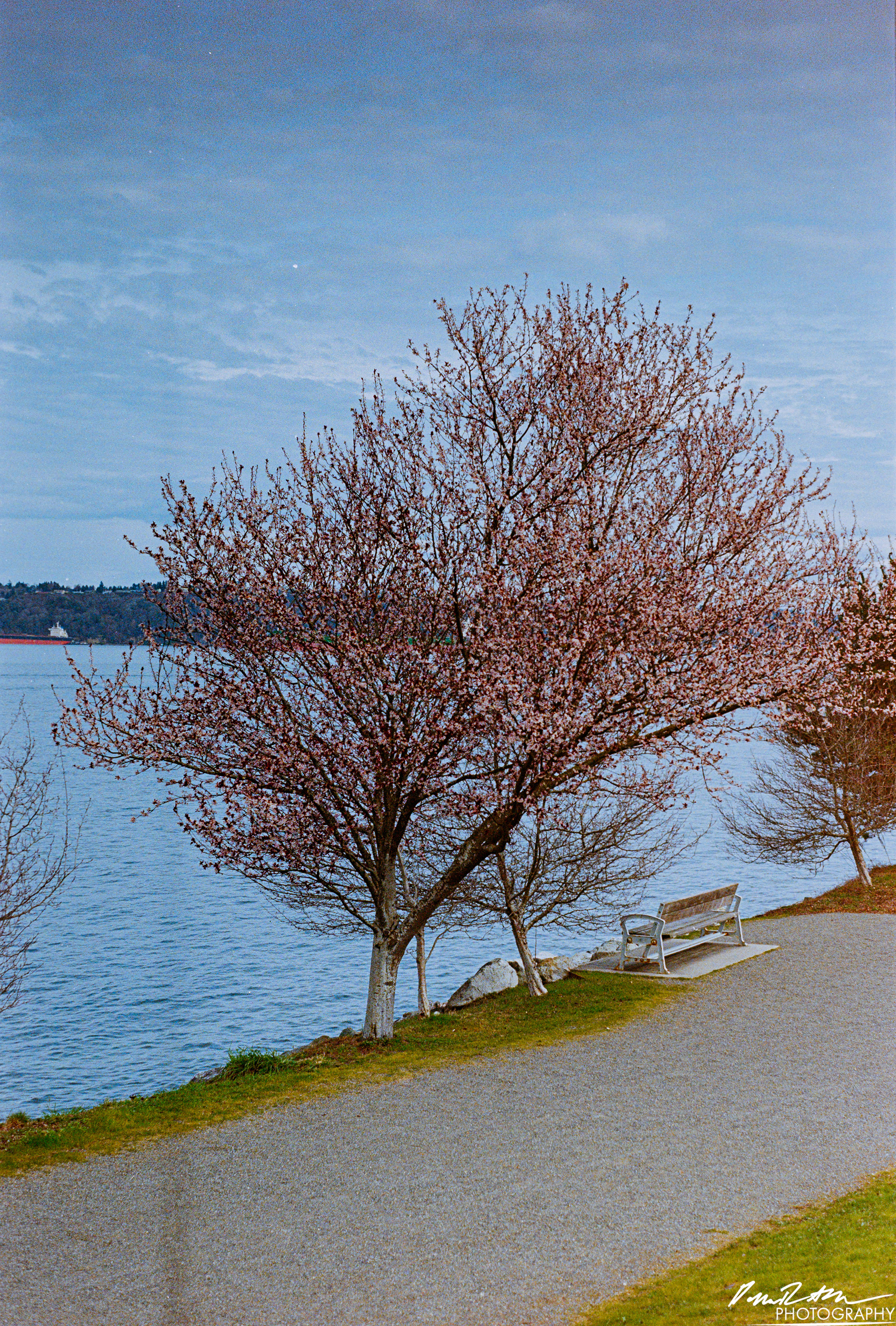 Fujifilm 400 - Tacoma WA