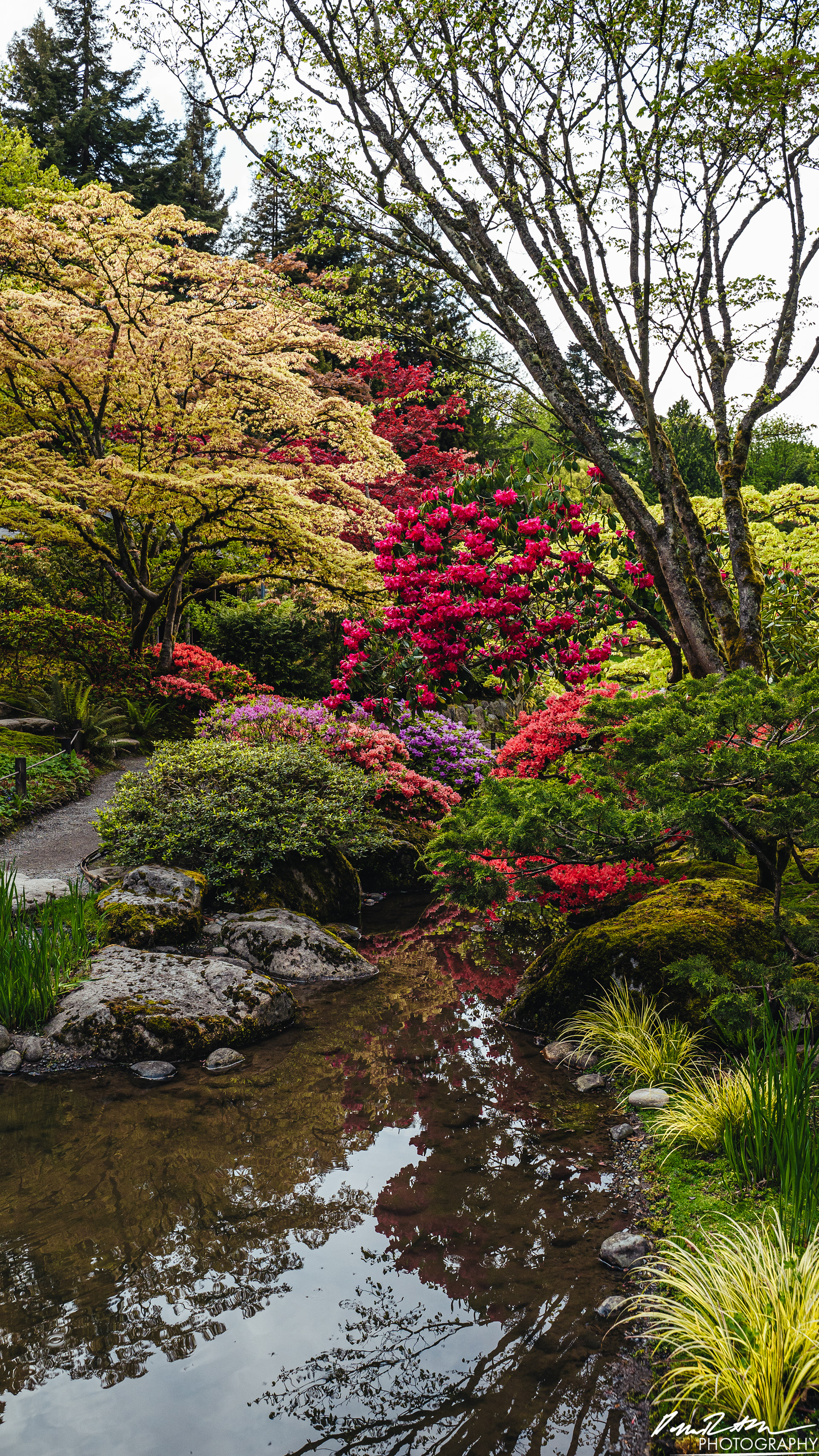 日本庭園-ワシントン州シアトル