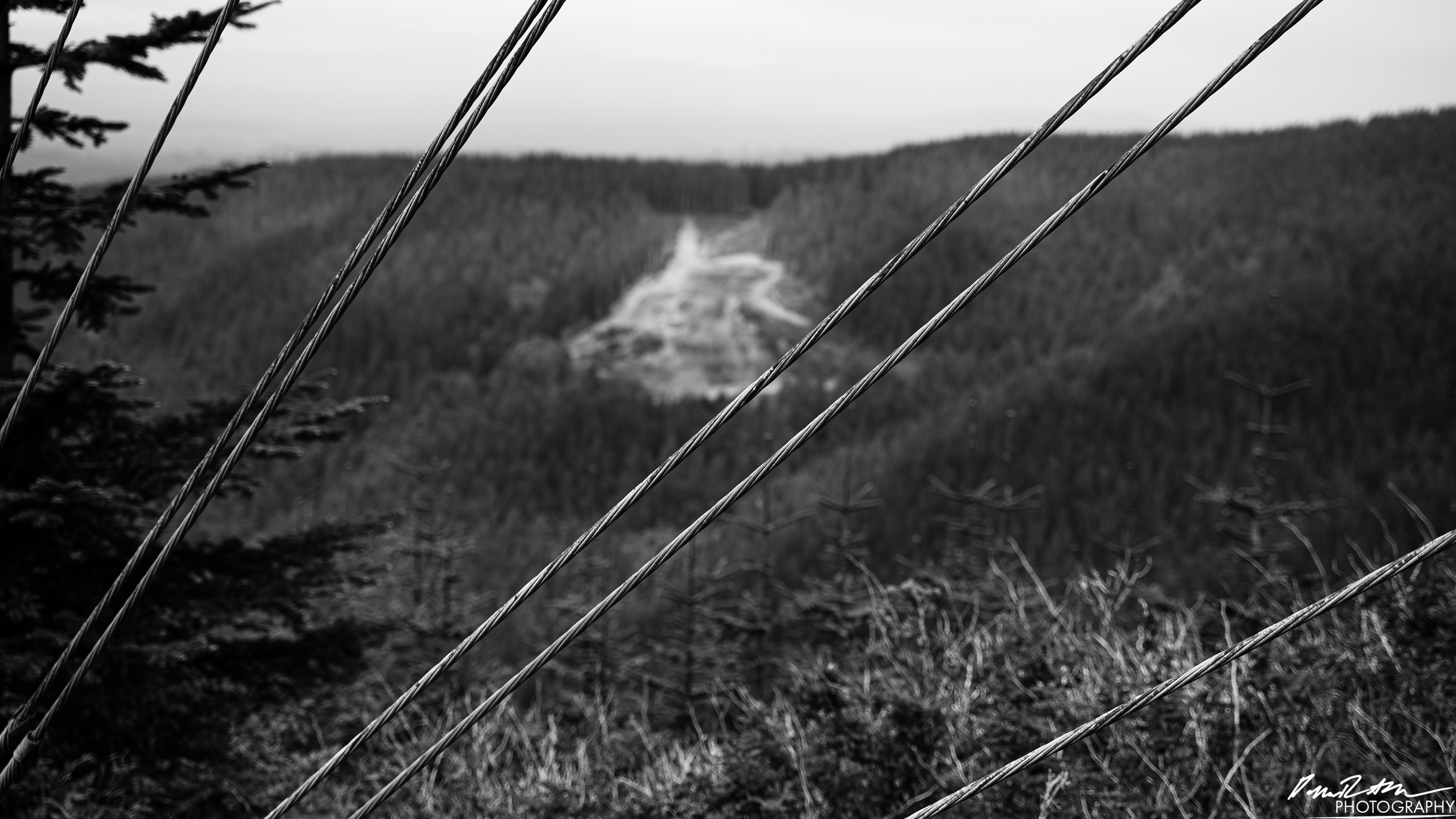 Numbers Station - Olympia WA