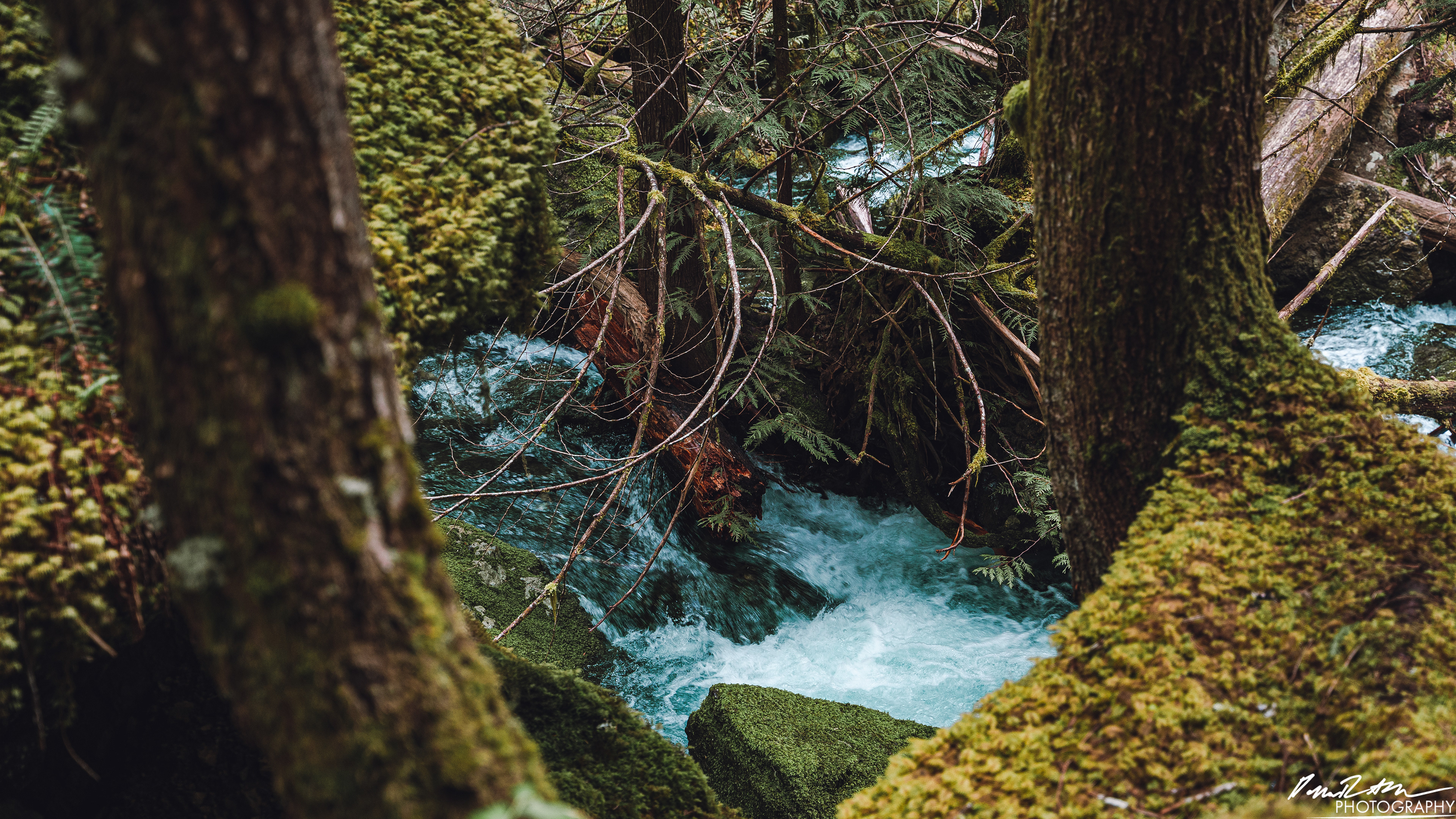 Snow Melt - Lena Lake