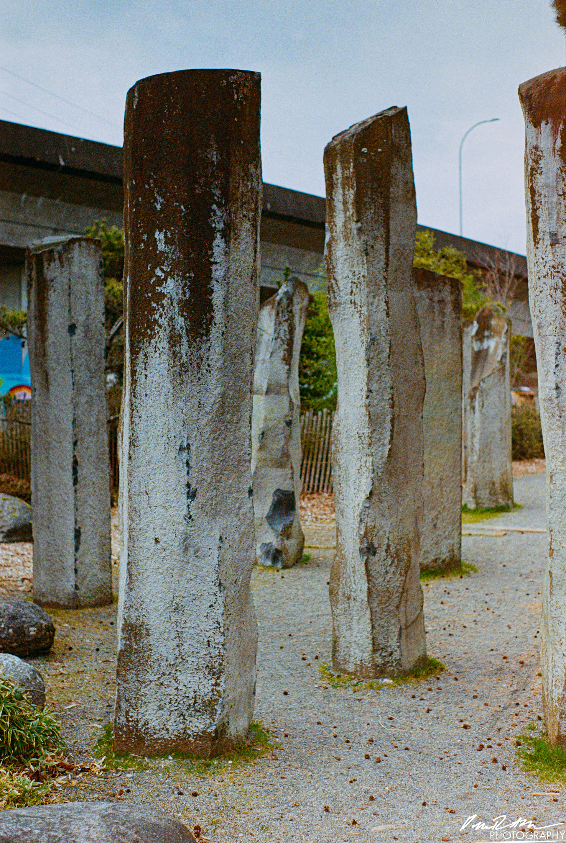 Fujifilm 400 - Tacoma WA