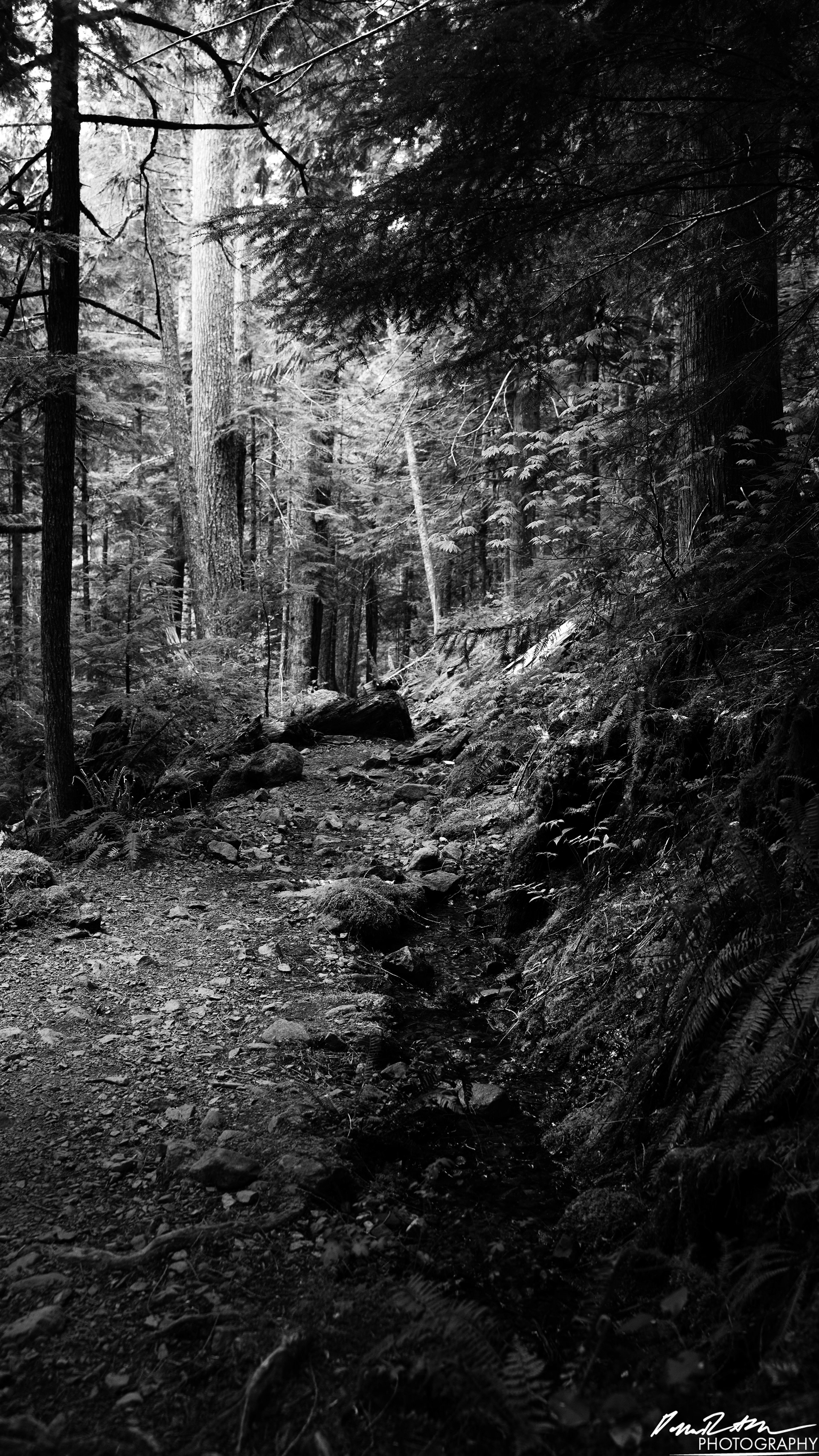 Snow Melt - Lena Lake
