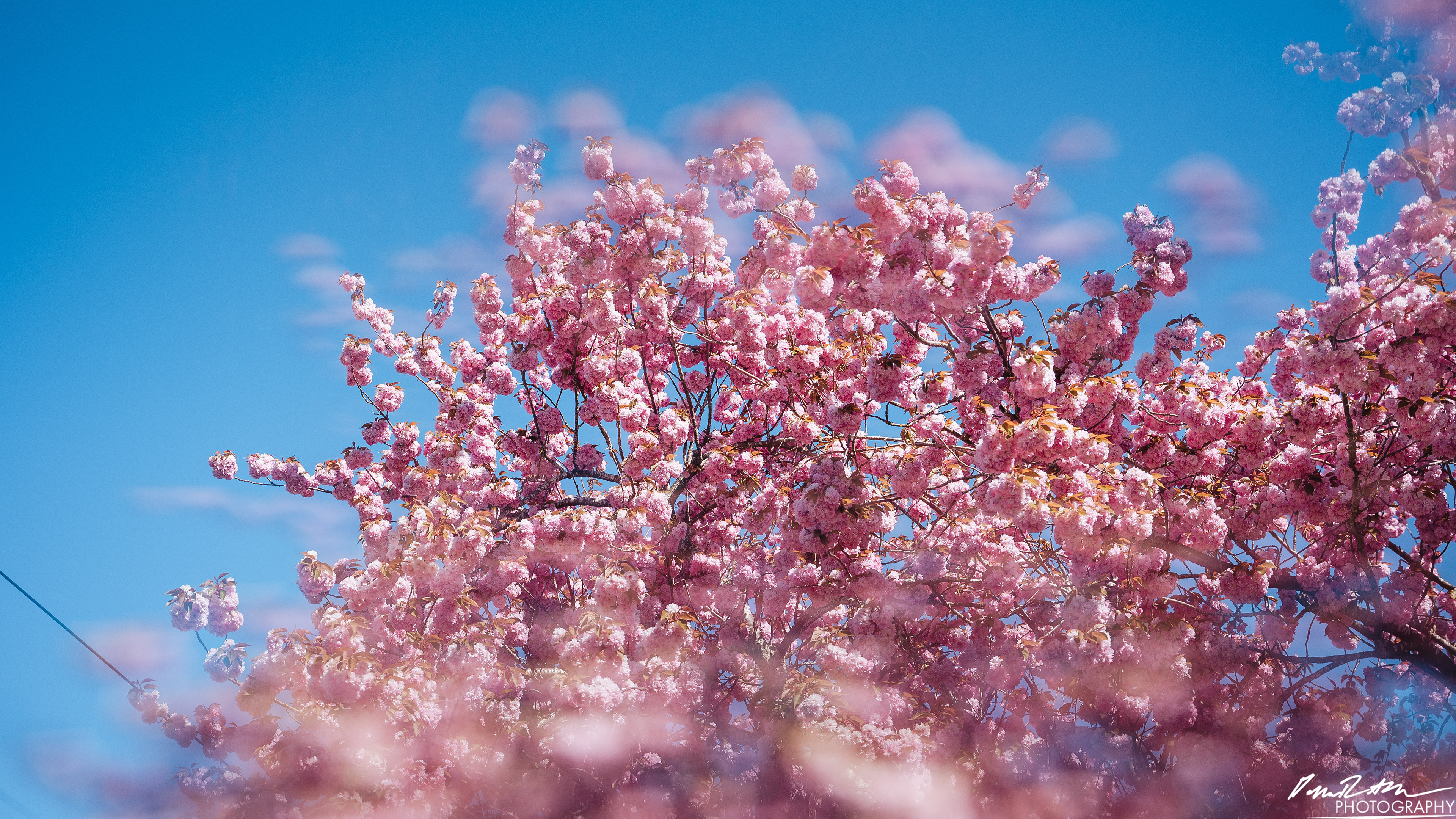 Out of Focus - Enumclaw WA
