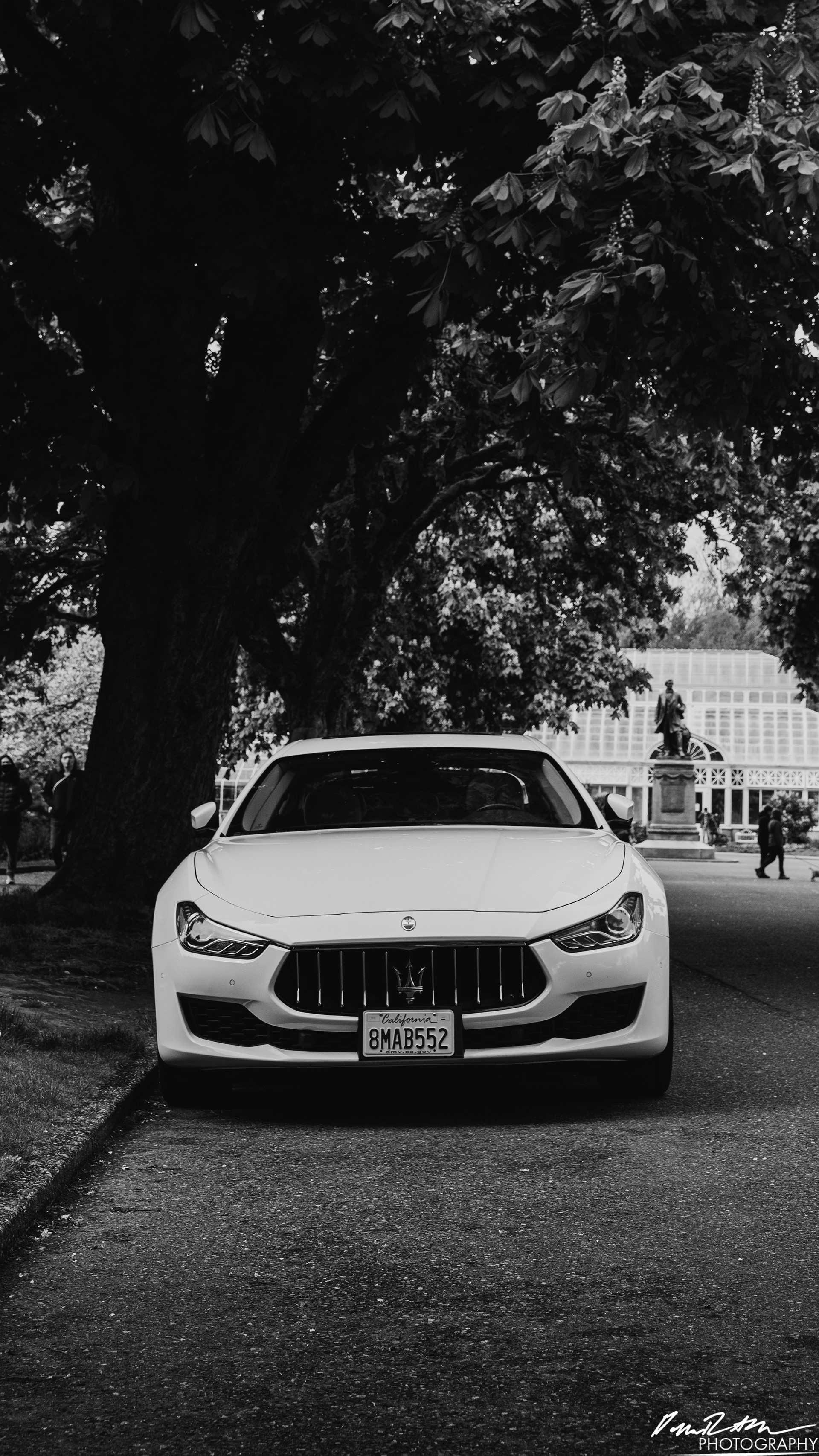 Stand Off - Seattle WA