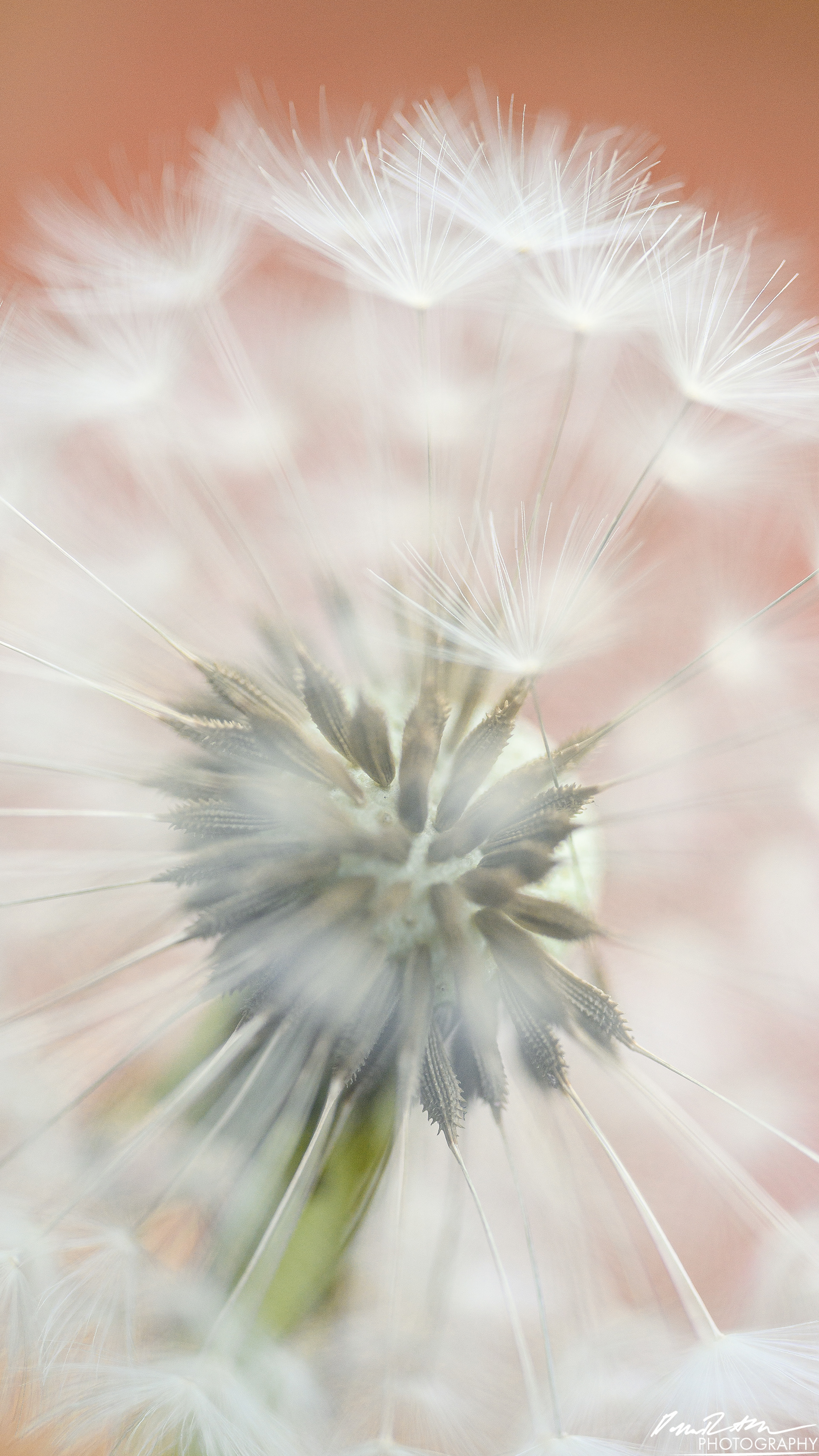 Up Close - Enumclaw WA