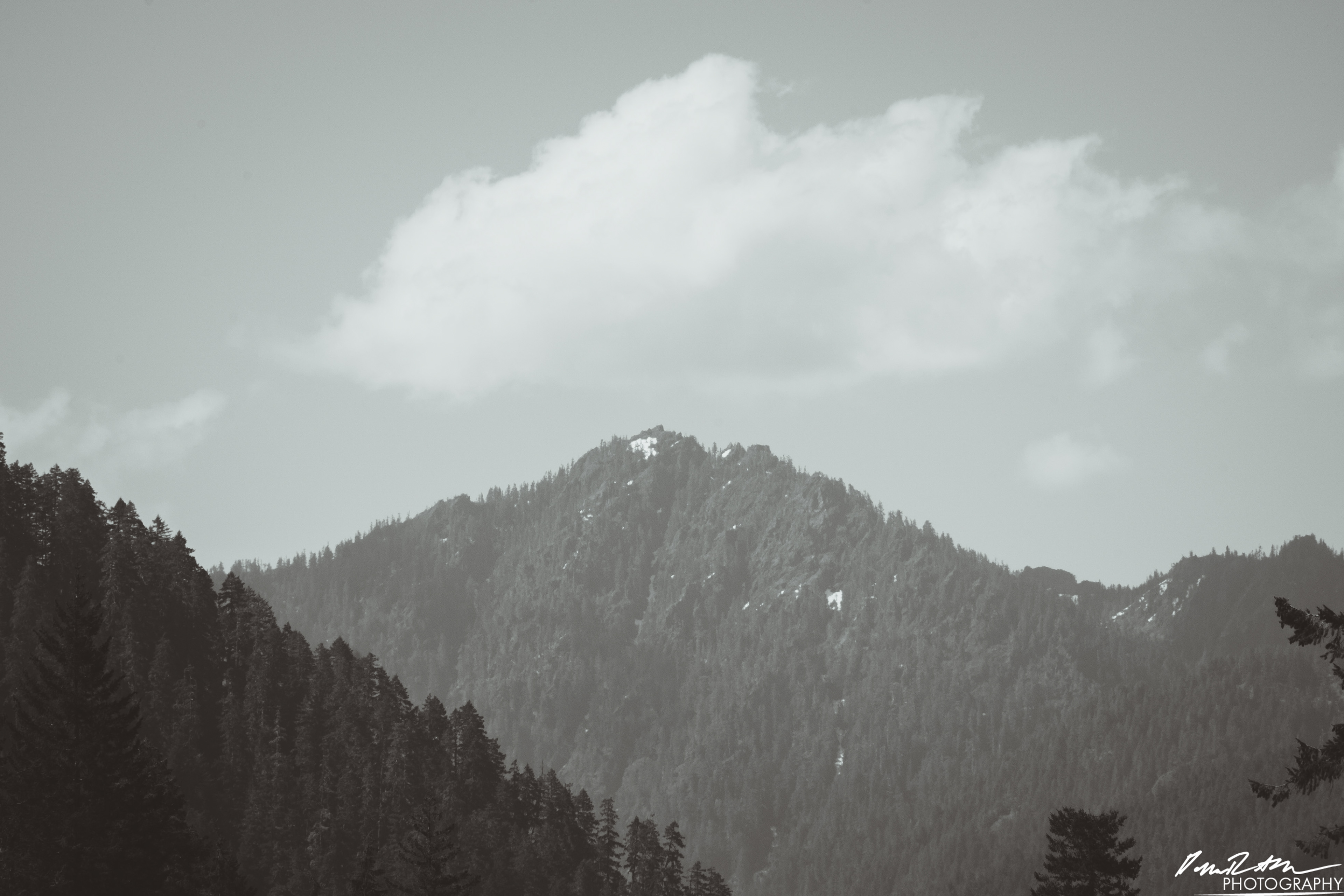 CAUTION - Olympic National Forest