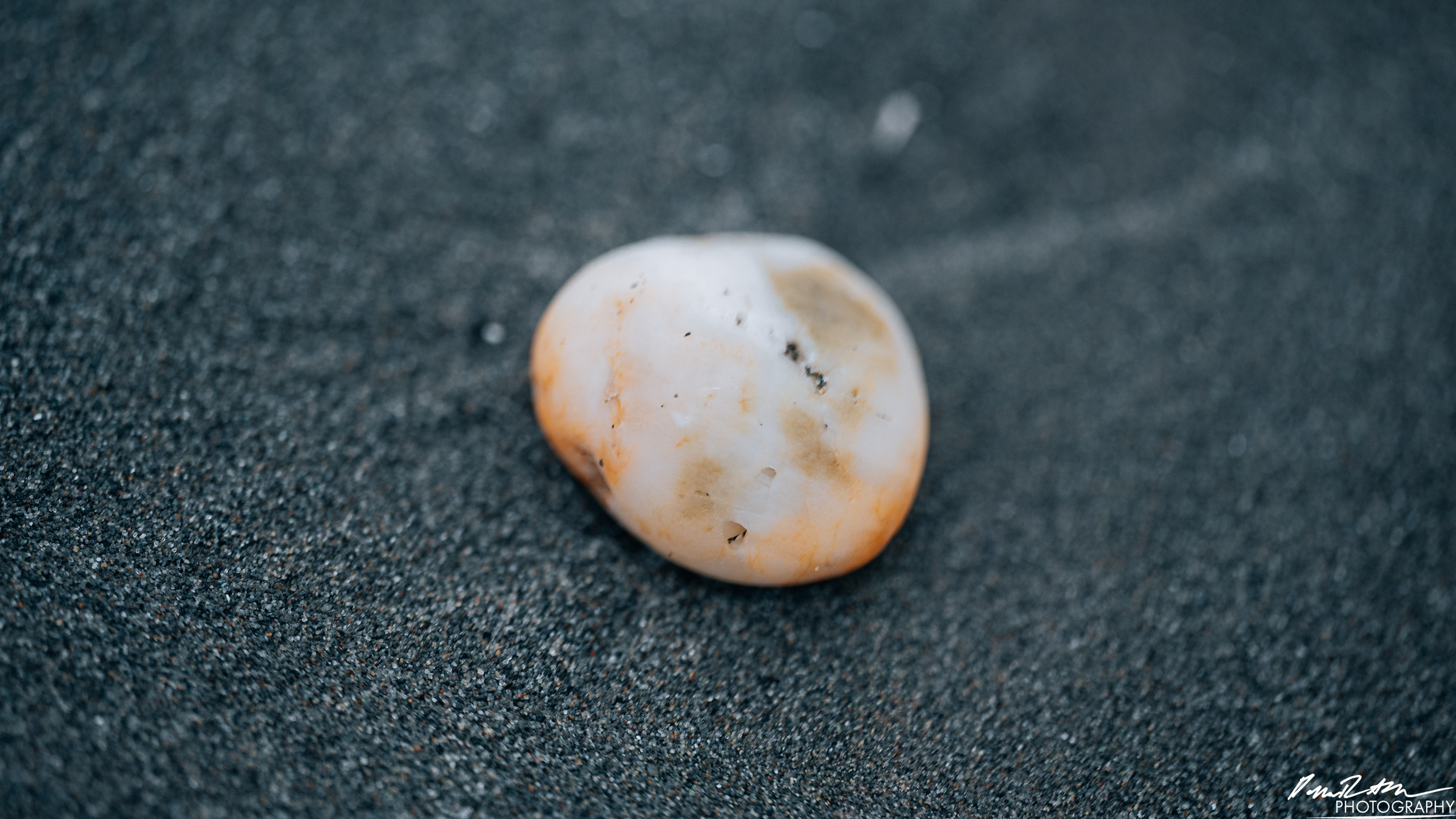 The Beach of Life - Kalaloch 