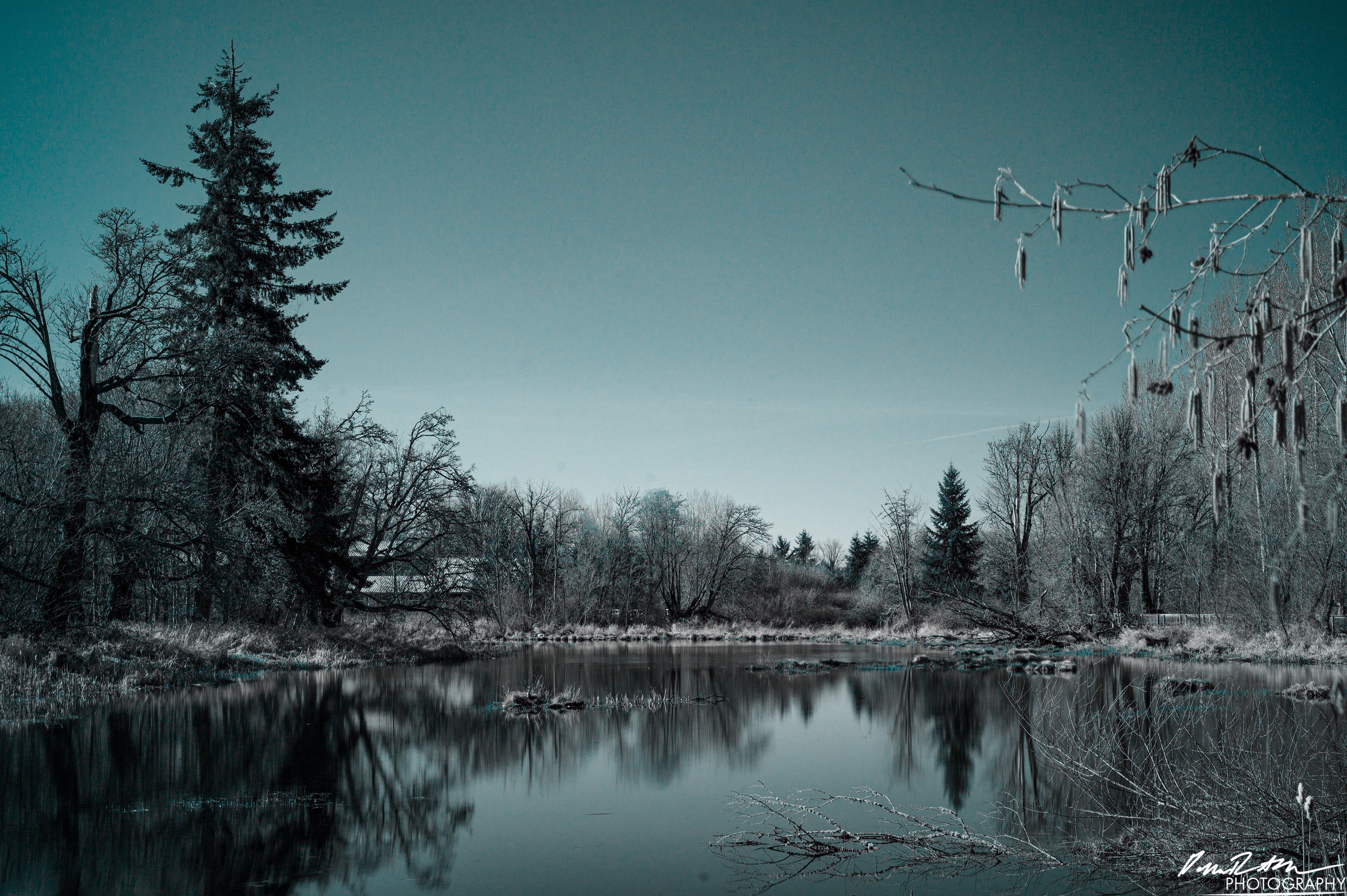 Infared - Nisqually WA