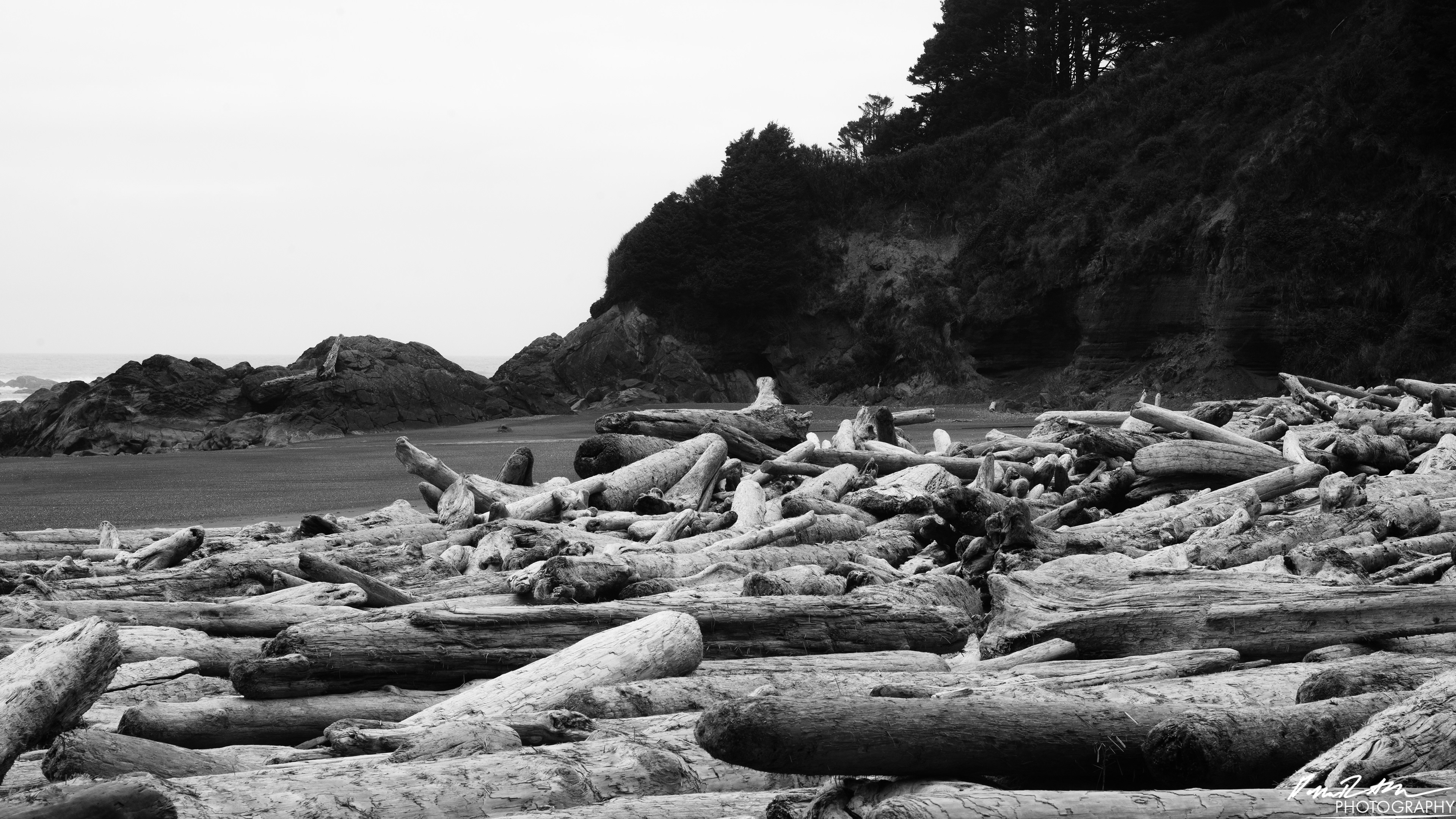 The Beach of Life - Kalaloch 