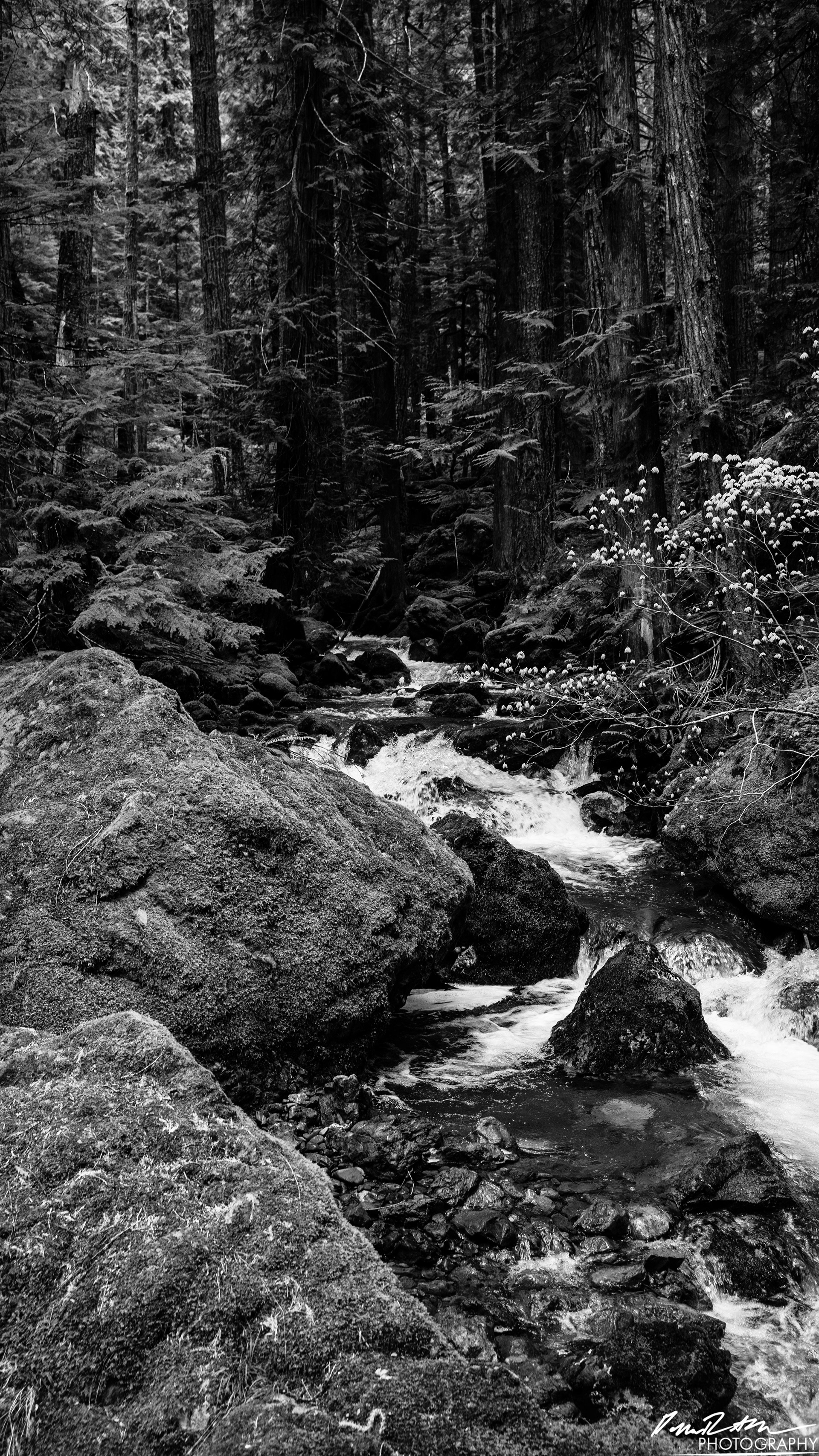 Snow Melt - Lena Lake