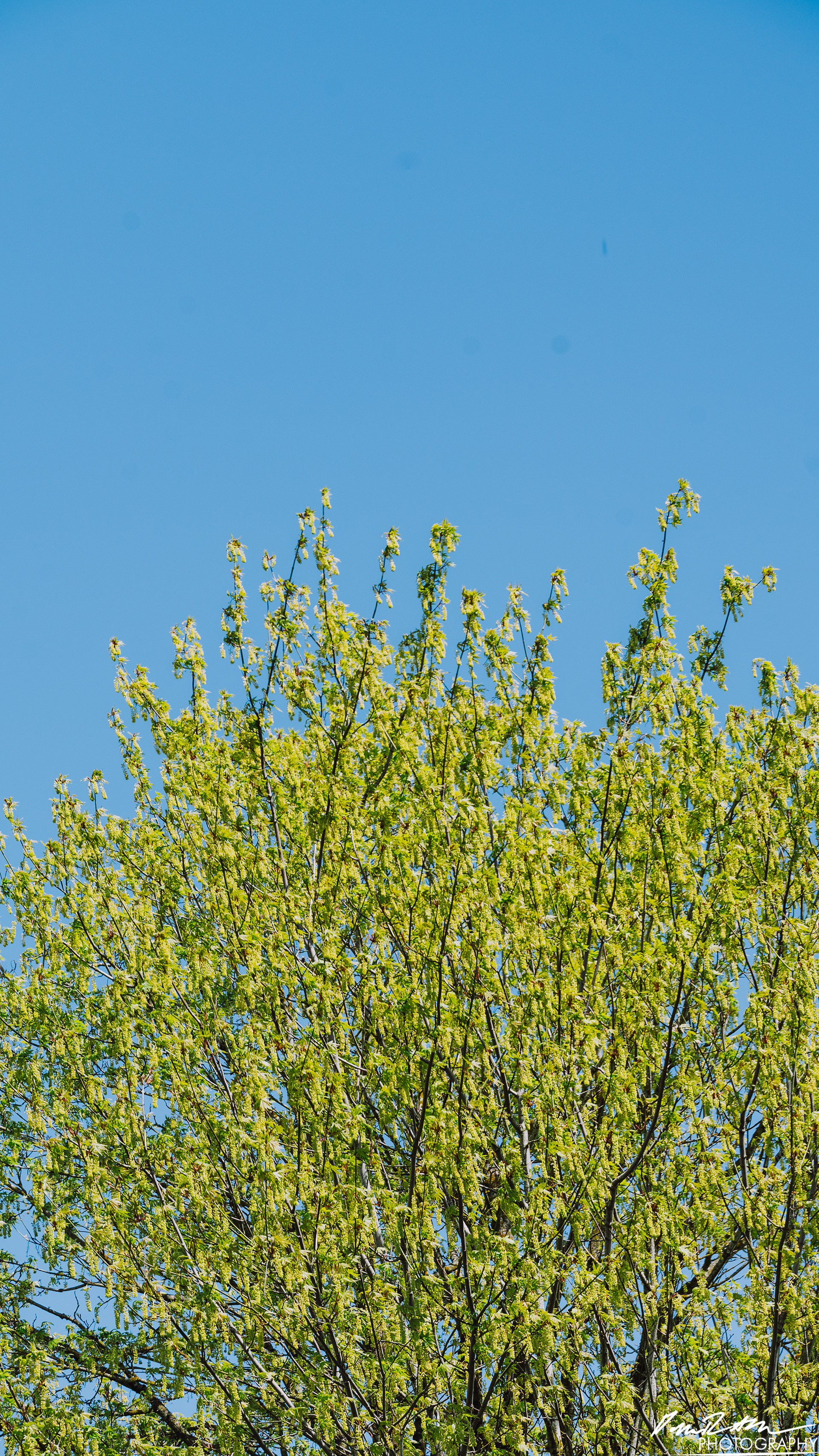 Big World - Enumclaw WA