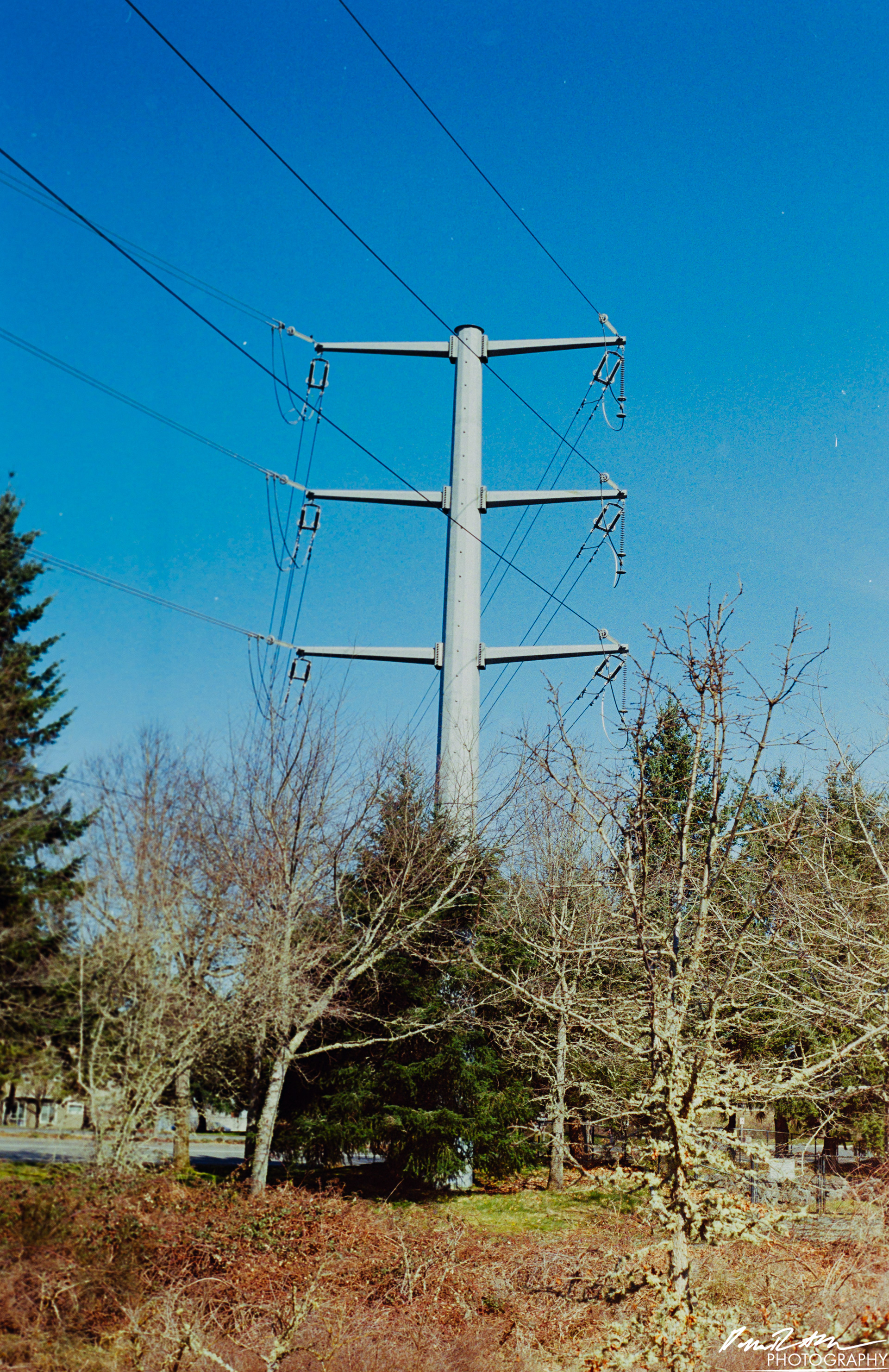 Fujifilm 400 - Dupont WA