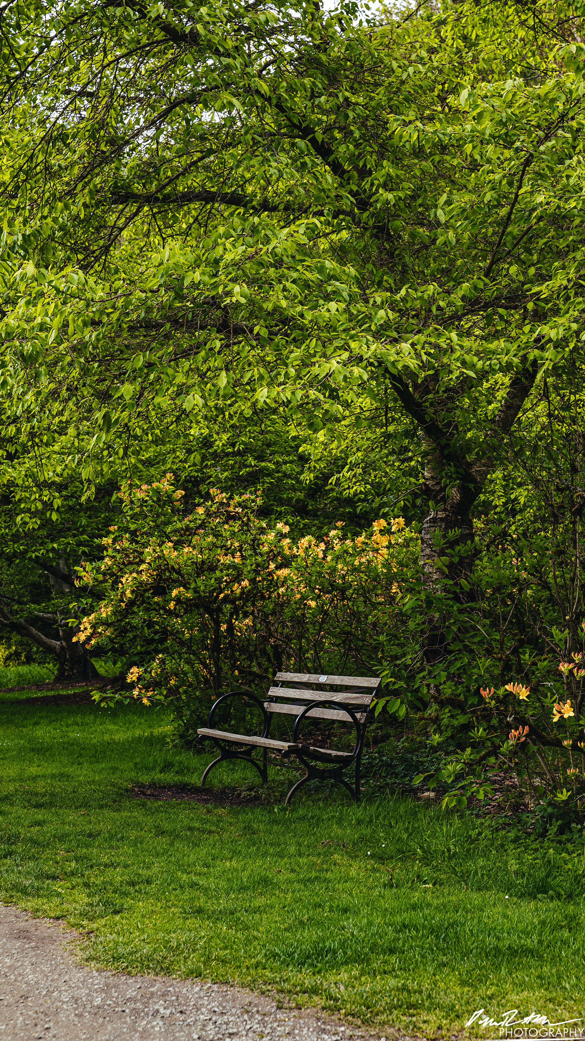 All Alone - Seattle WA