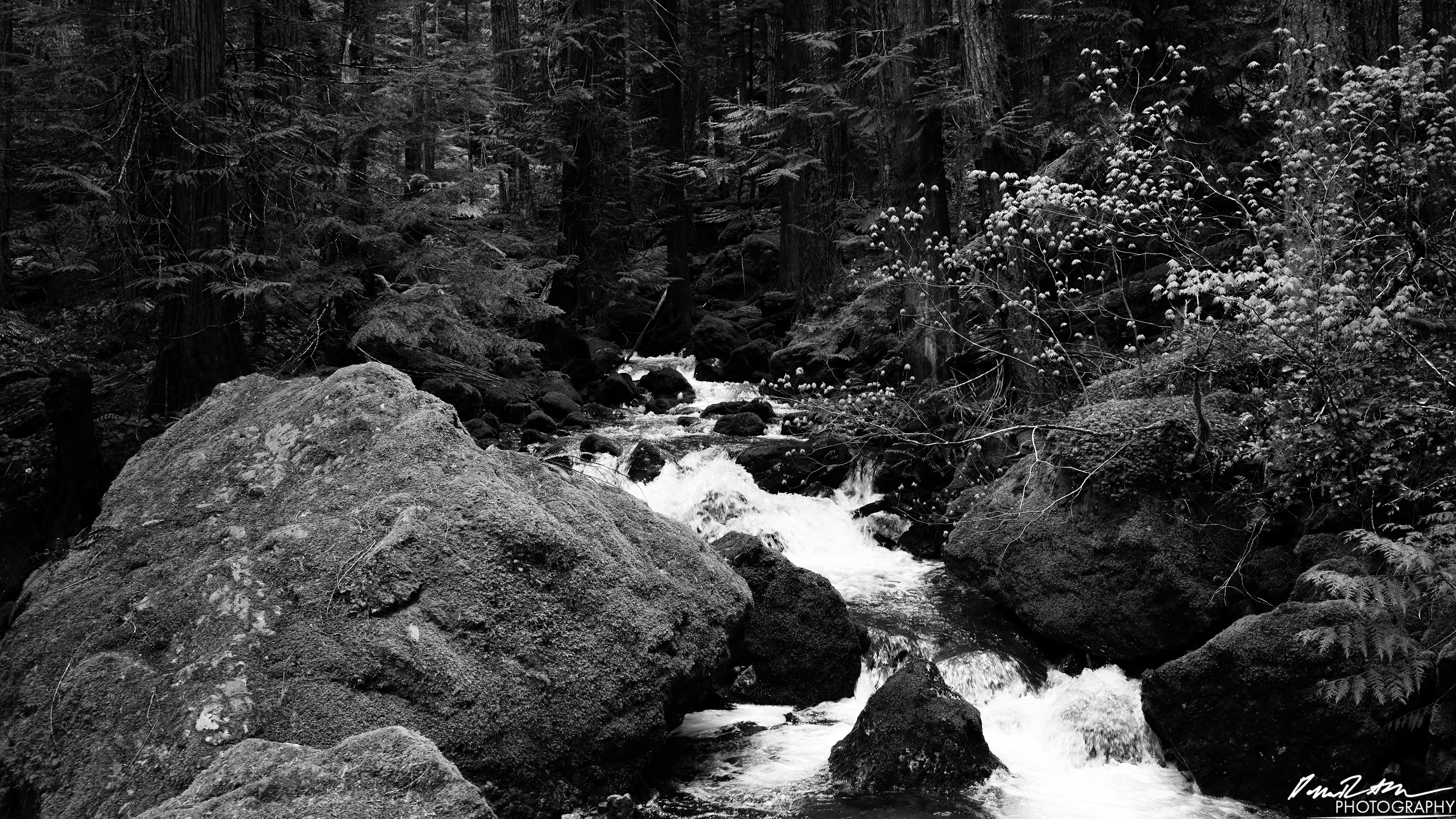 Snow Melt - Lena Lake