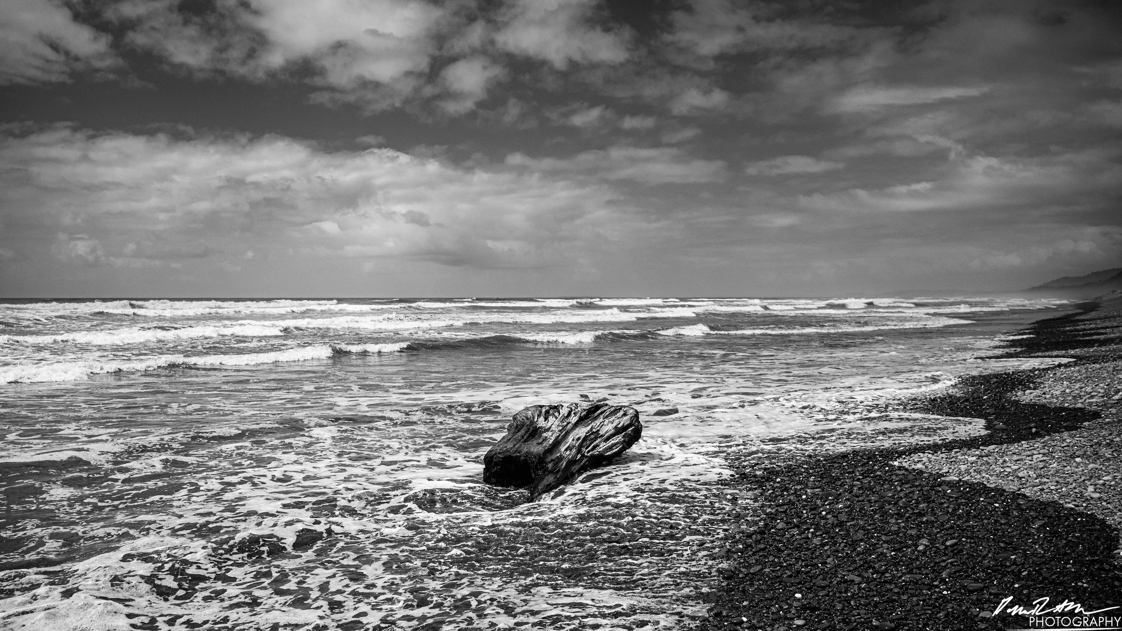 The Beach of Life - Kalaloch 