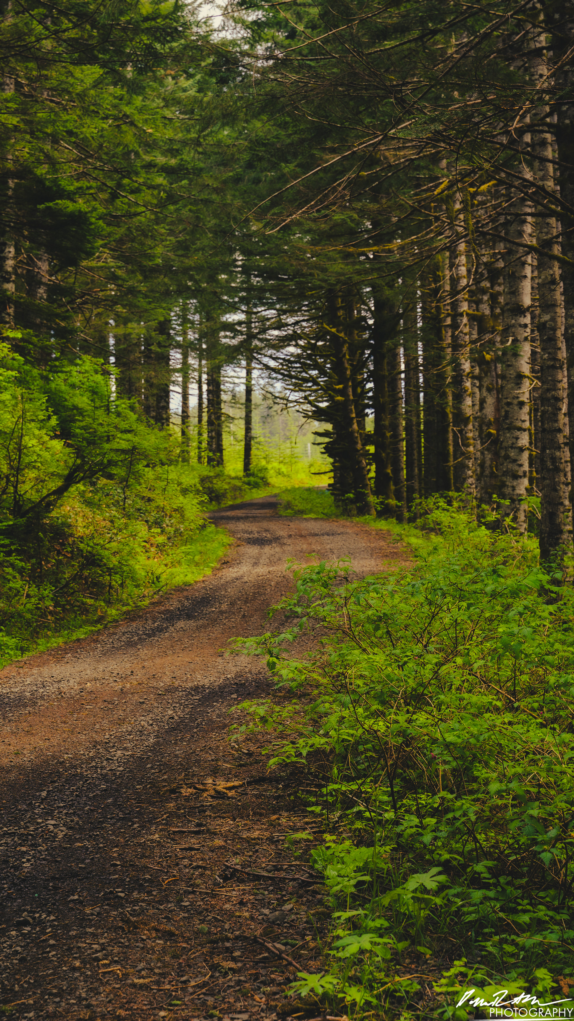 Numbers Station - Olympia WA