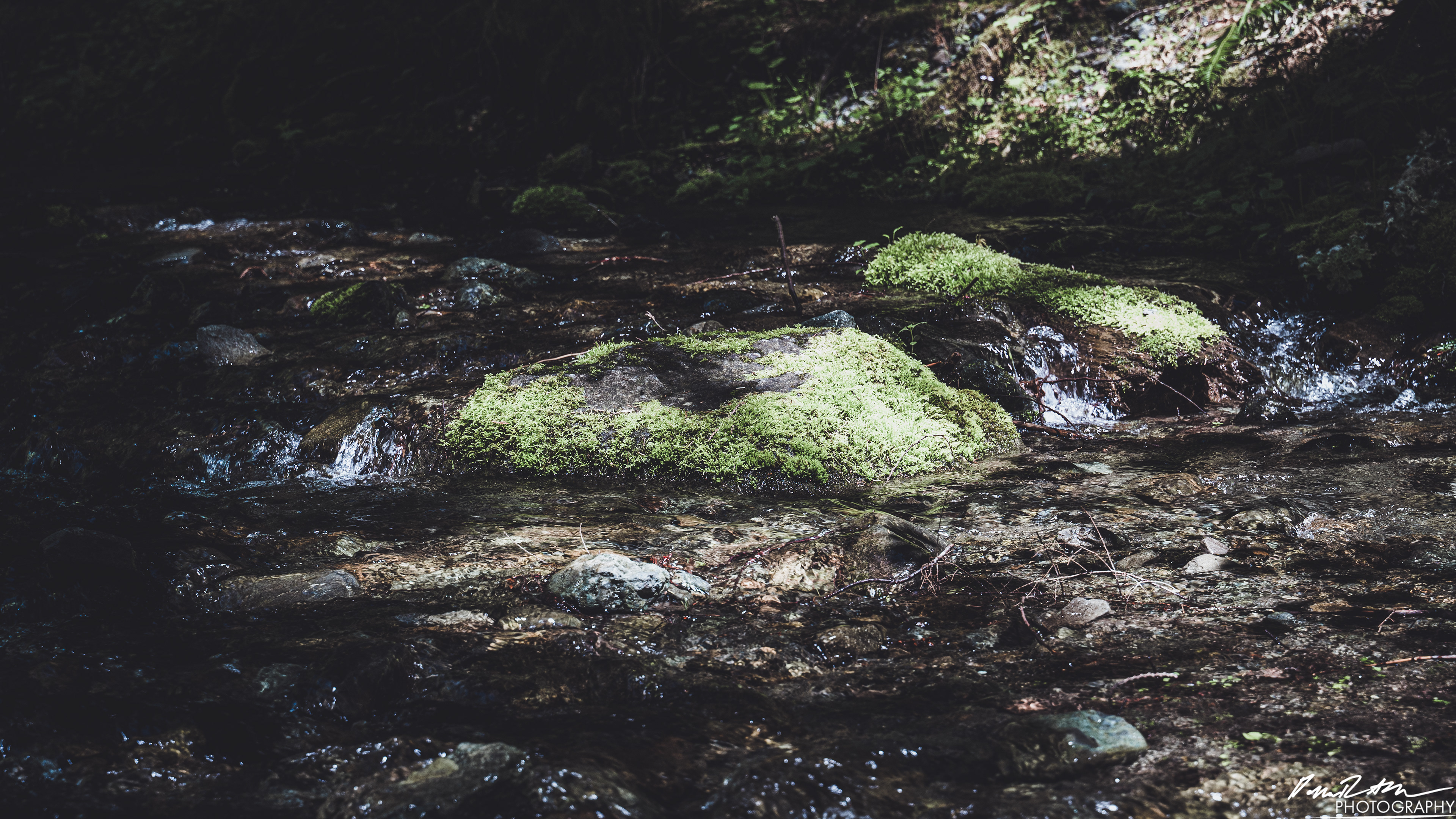 Rapids - Lake Cushman