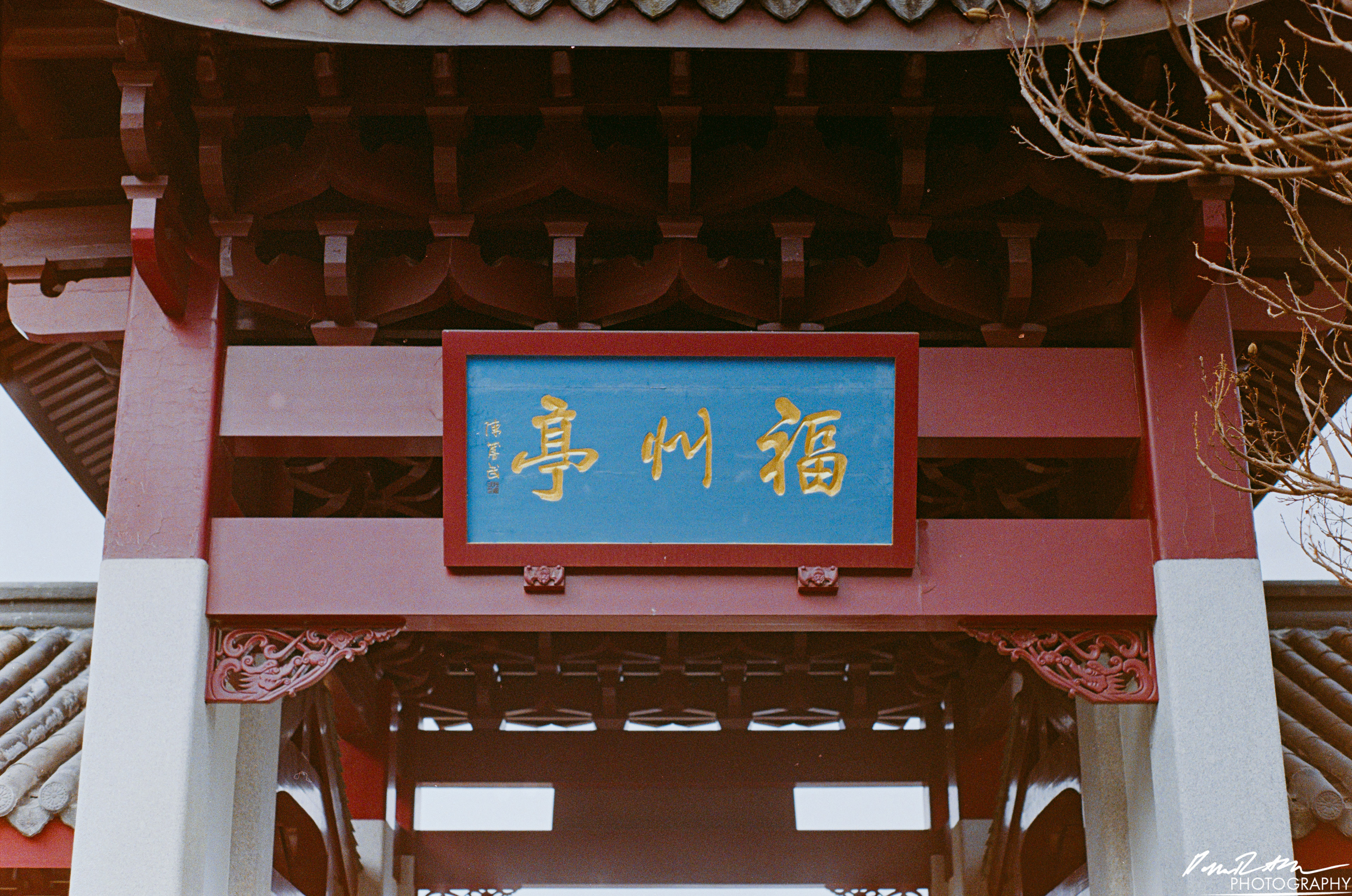 Fujifilm 400 - Tacoma WA