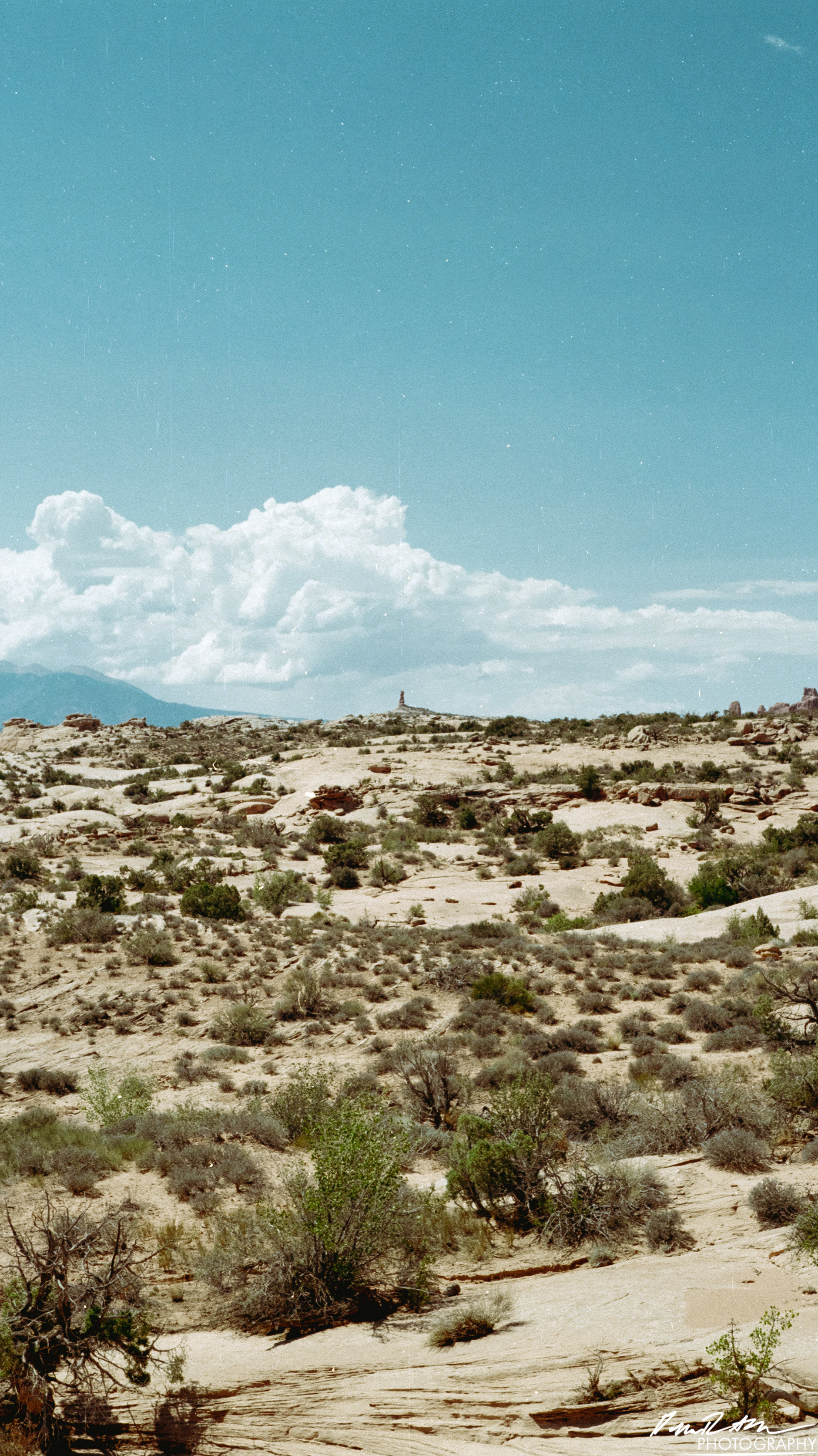 Arches on 35mm - Arches National Park