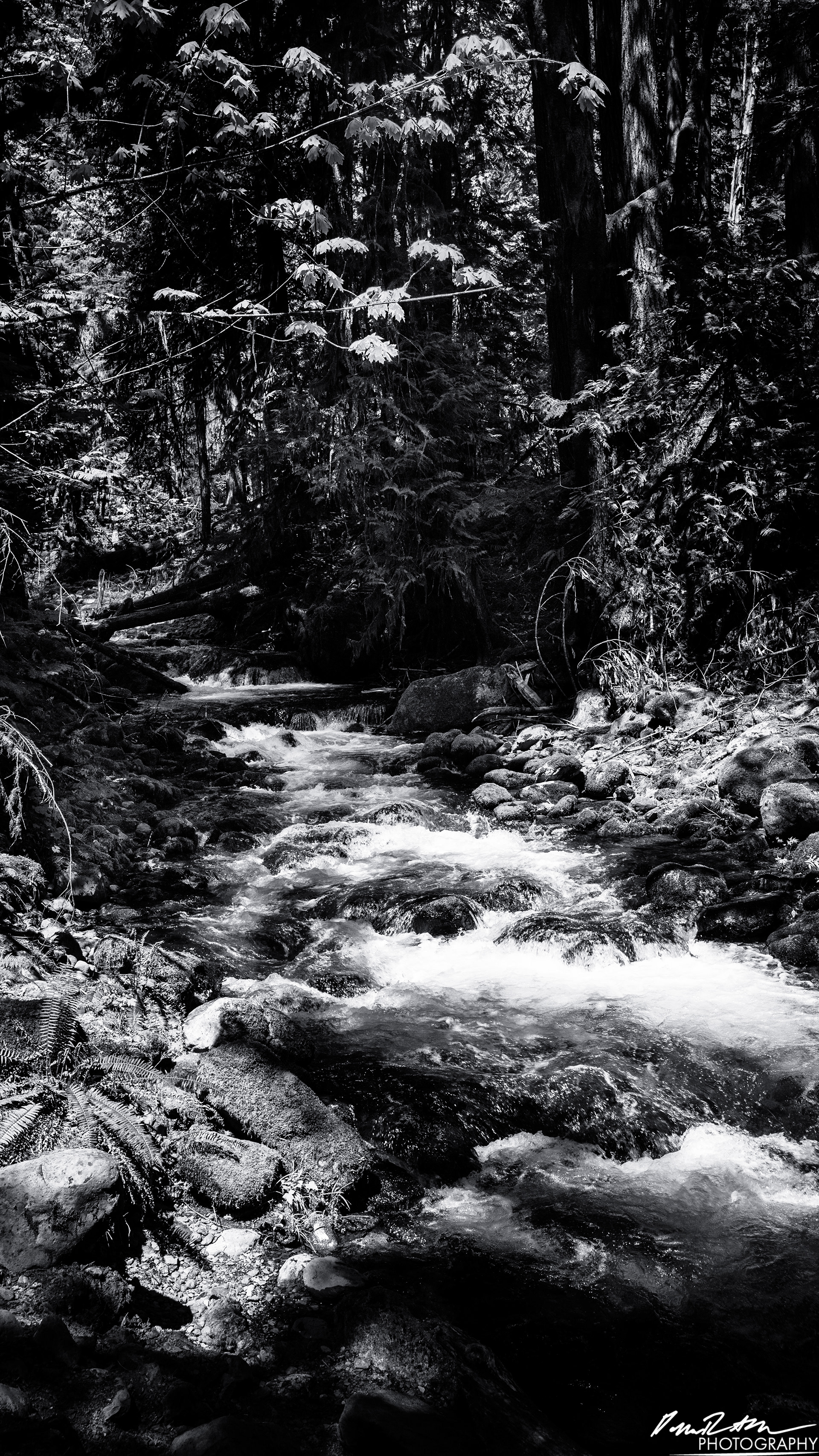 Rapids - Lake Cushman