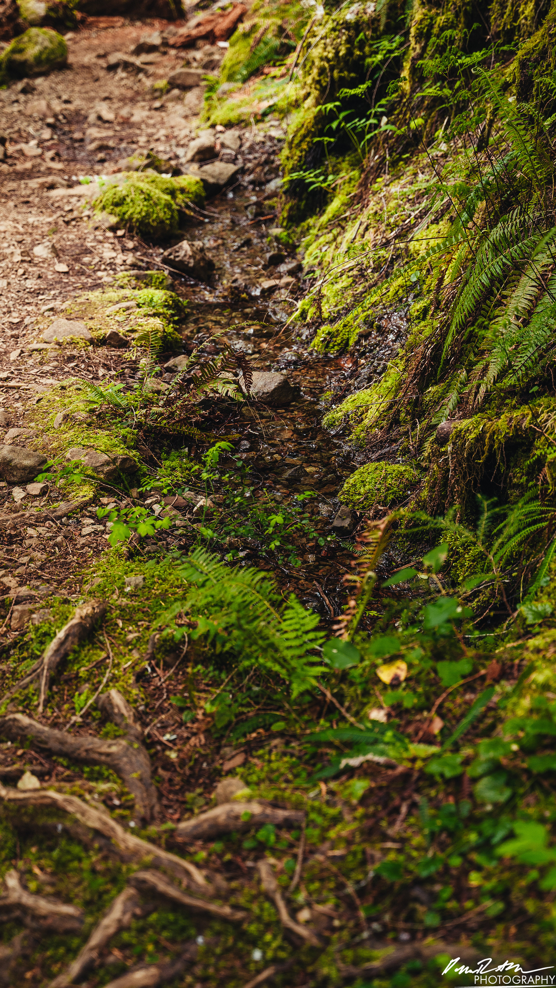 Snow Melt - Lena Lake