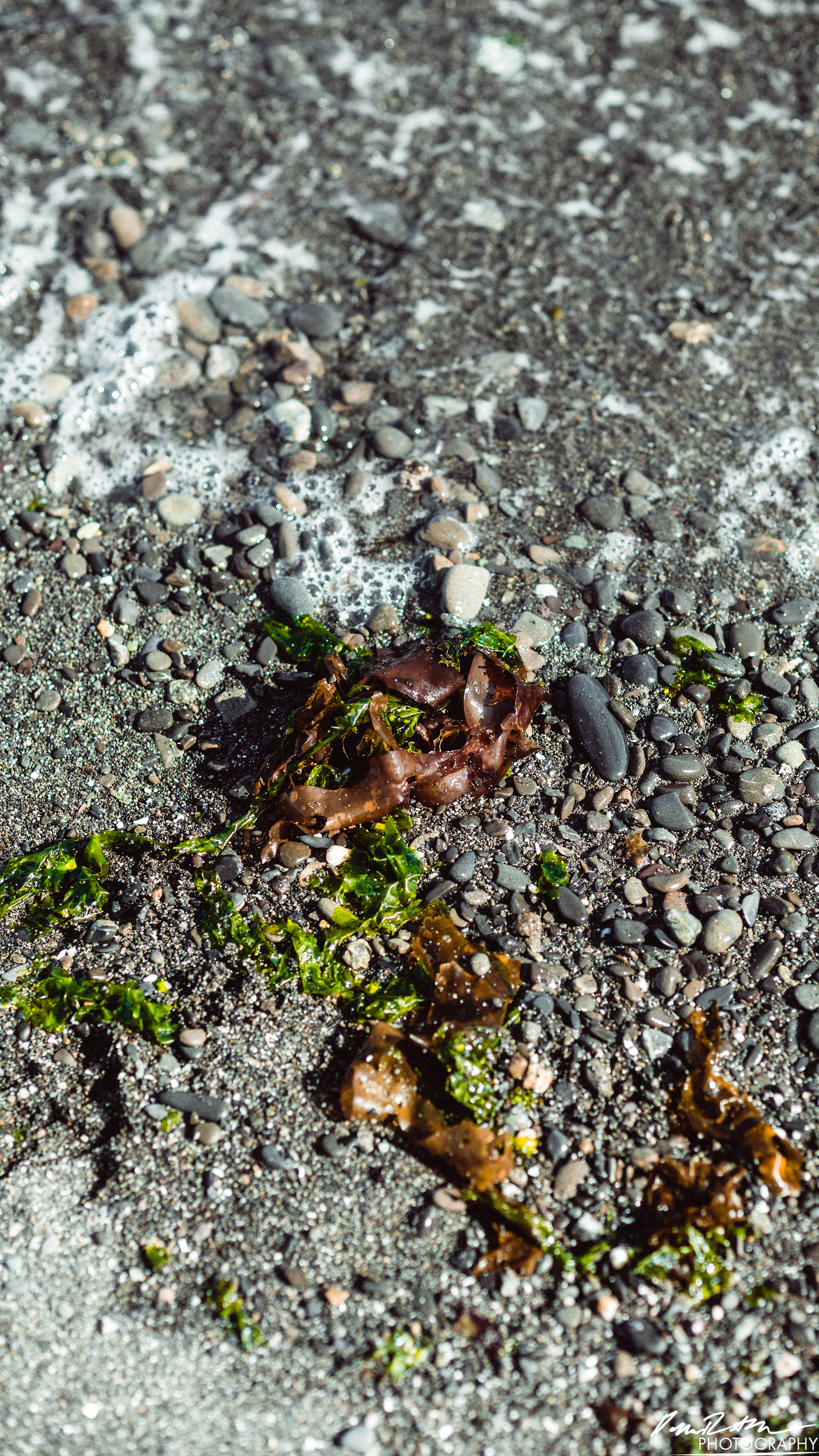 The Open Sea - Port Angeles