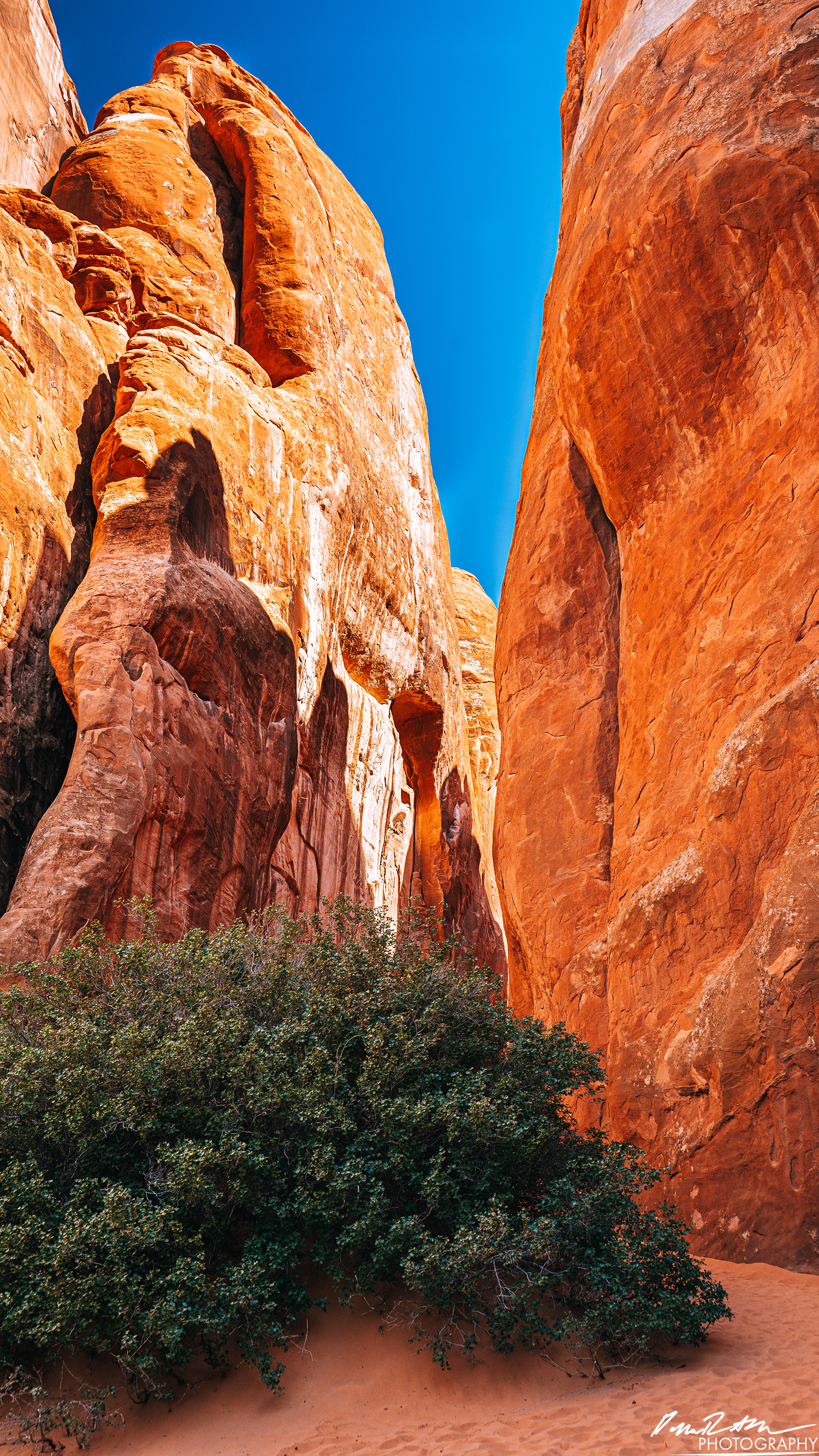 Sand - Arches National Park