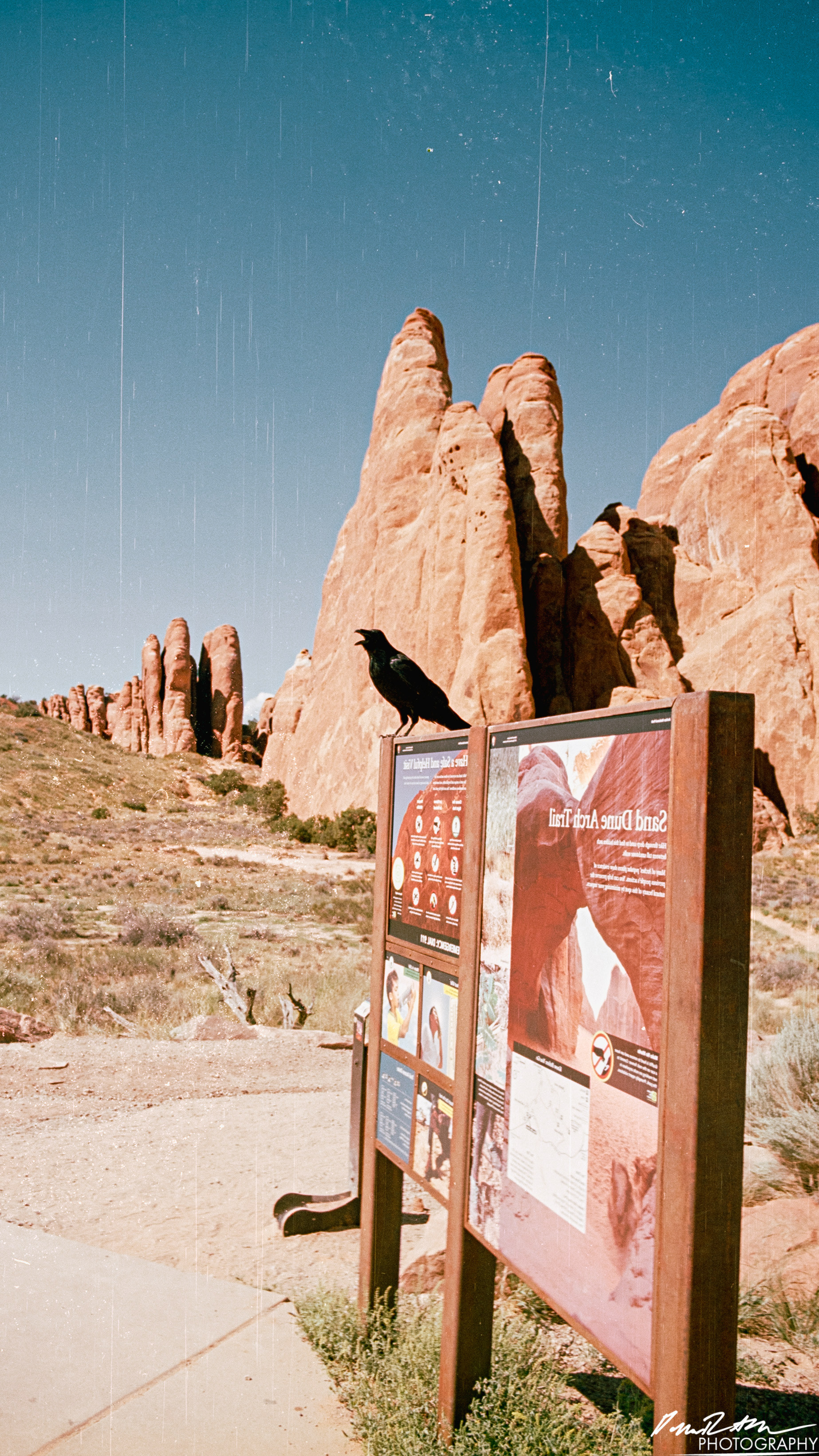 Arches on 35mm - Arches National Park