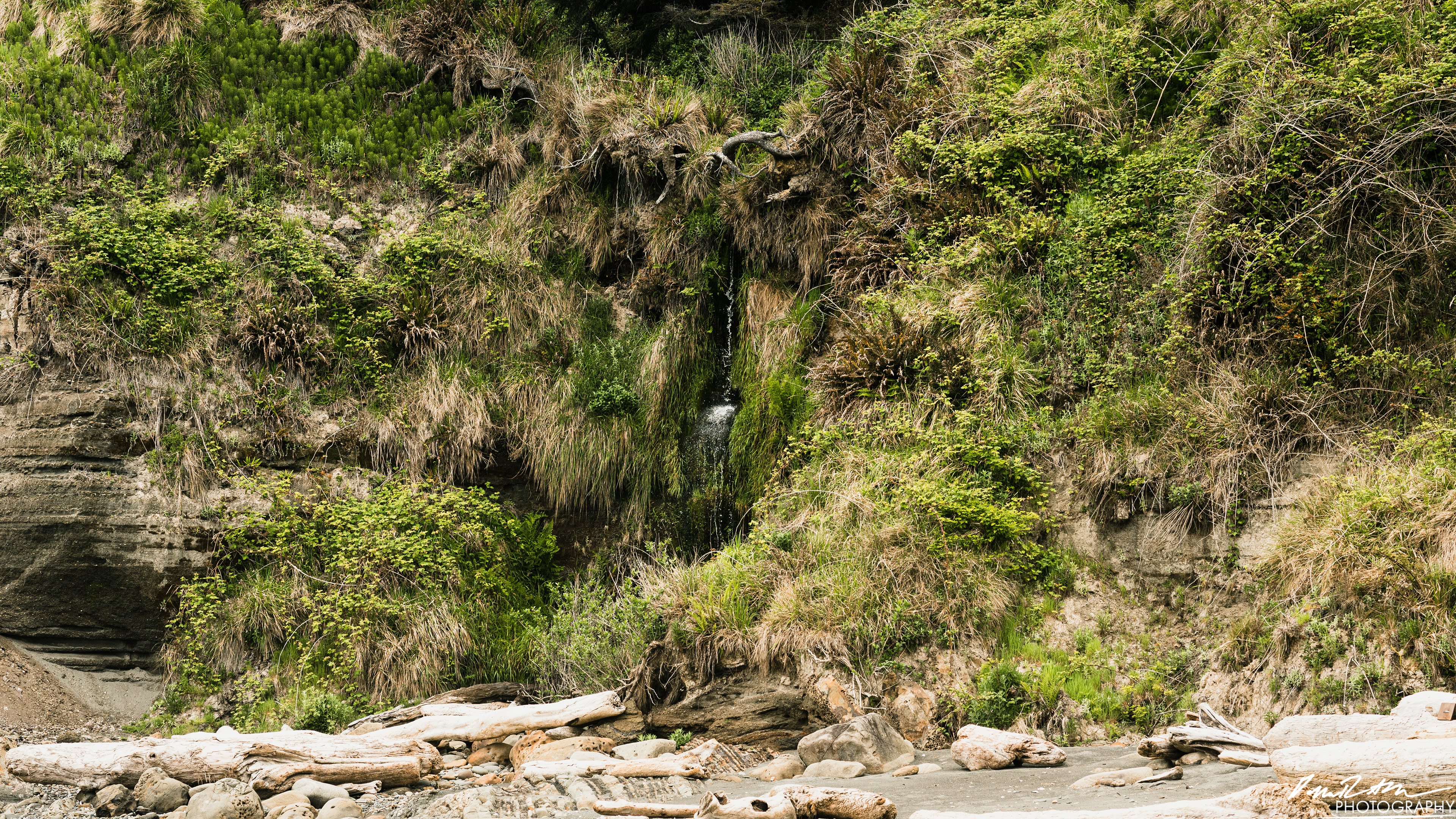 The Beach of Life - Kalaloch 