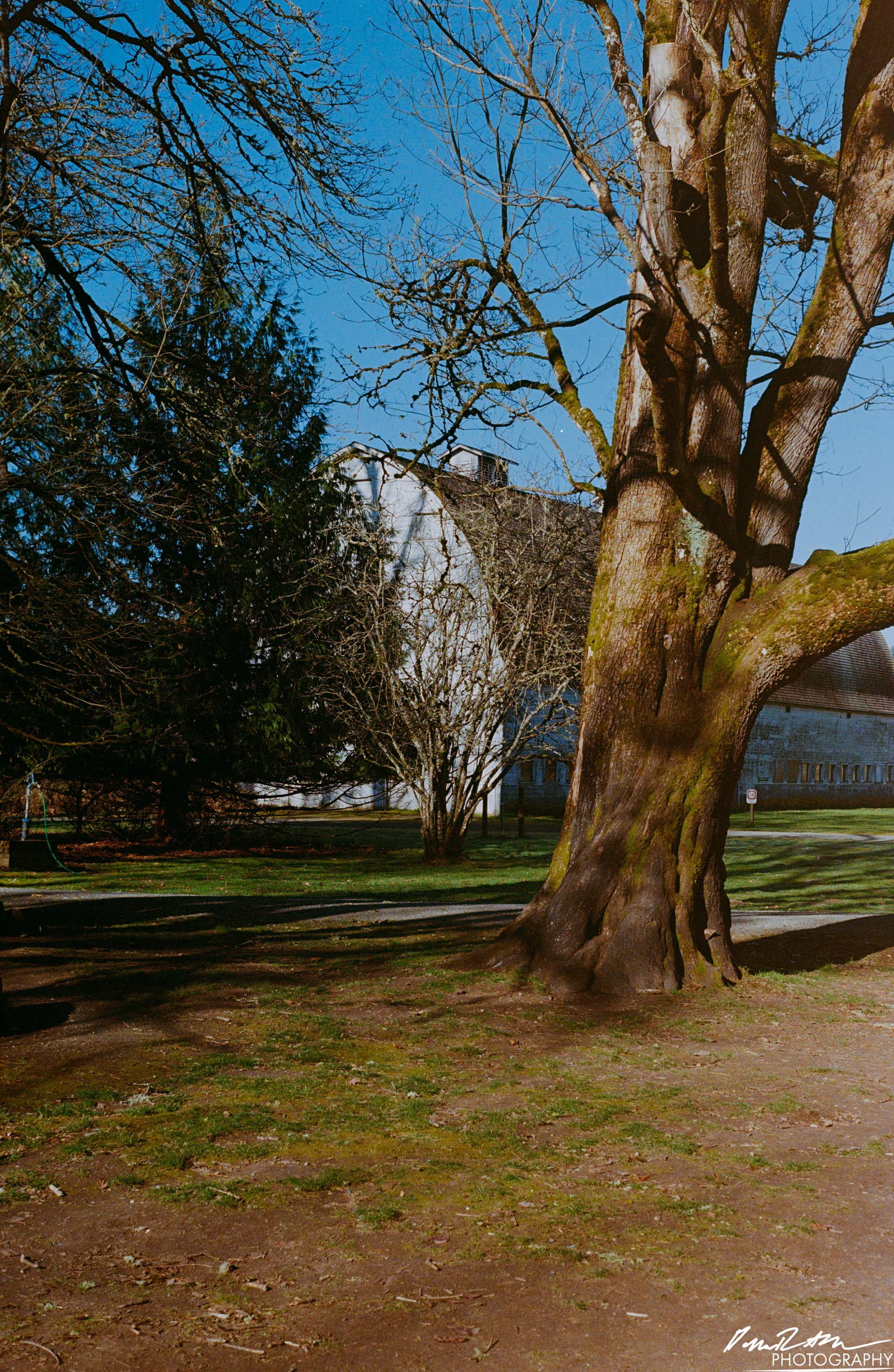 Fujifilm 400 - Nisqually Wildlife Preserve WA