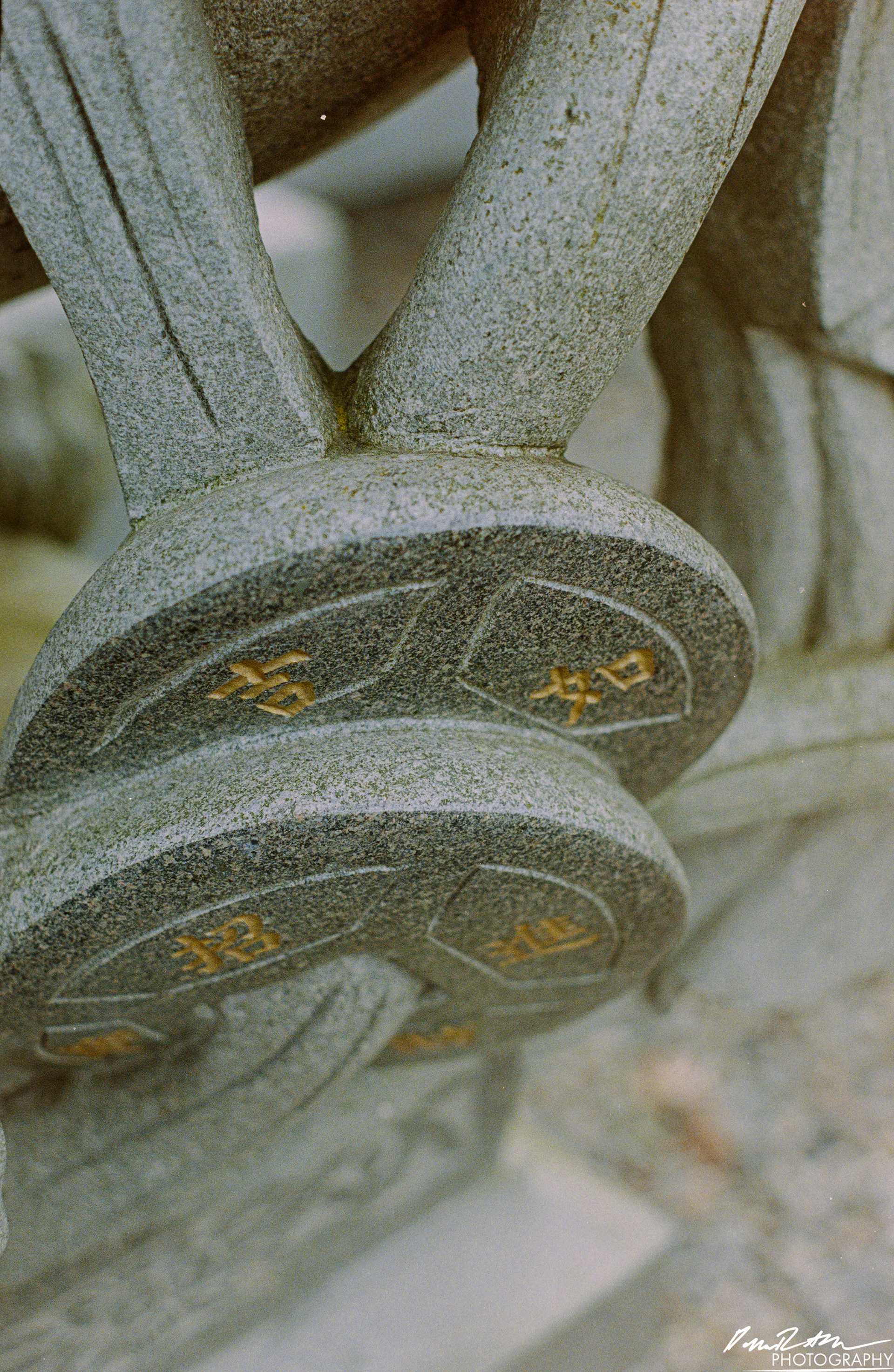 Fujifilm 400 - Tacoma WA