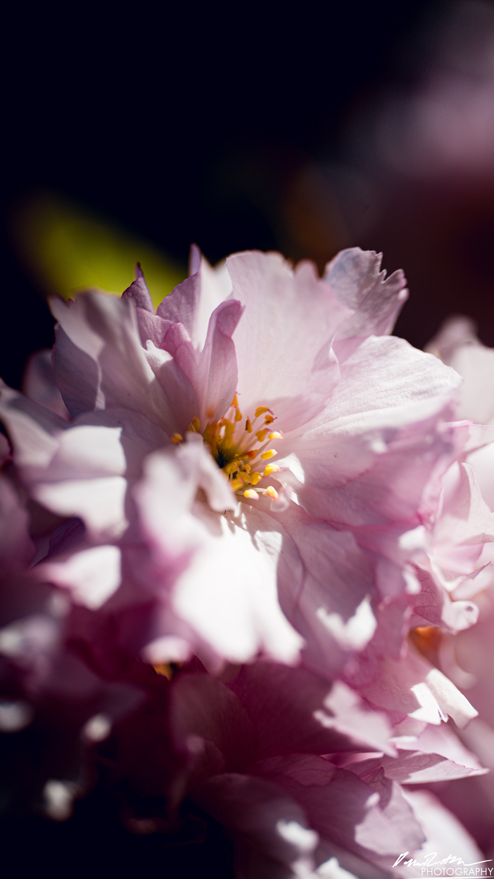 Big World - Enumclaw WA