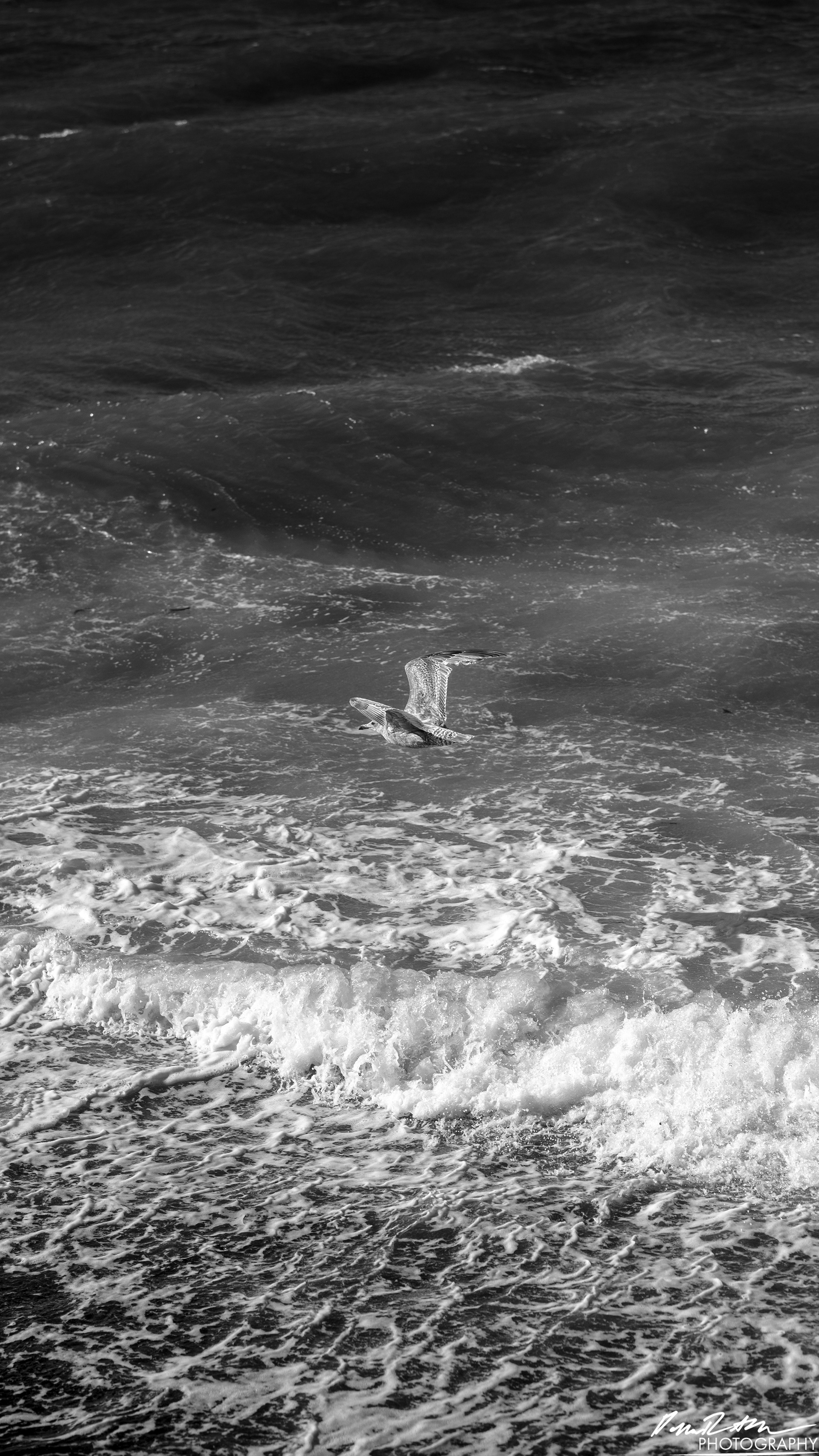 The Open Sea - Port Angeles