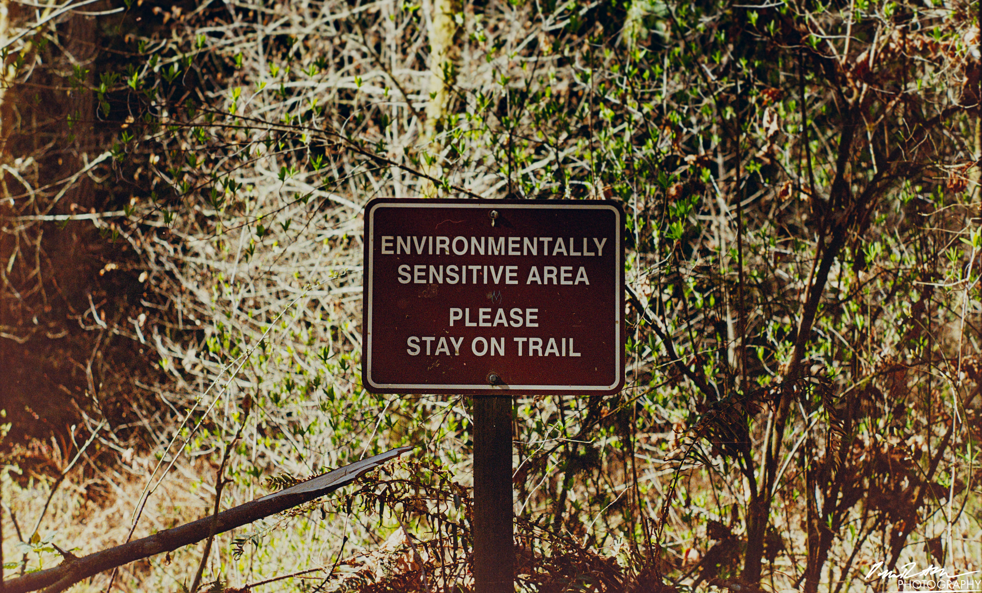 Fujifilm 400 - Dupont WA