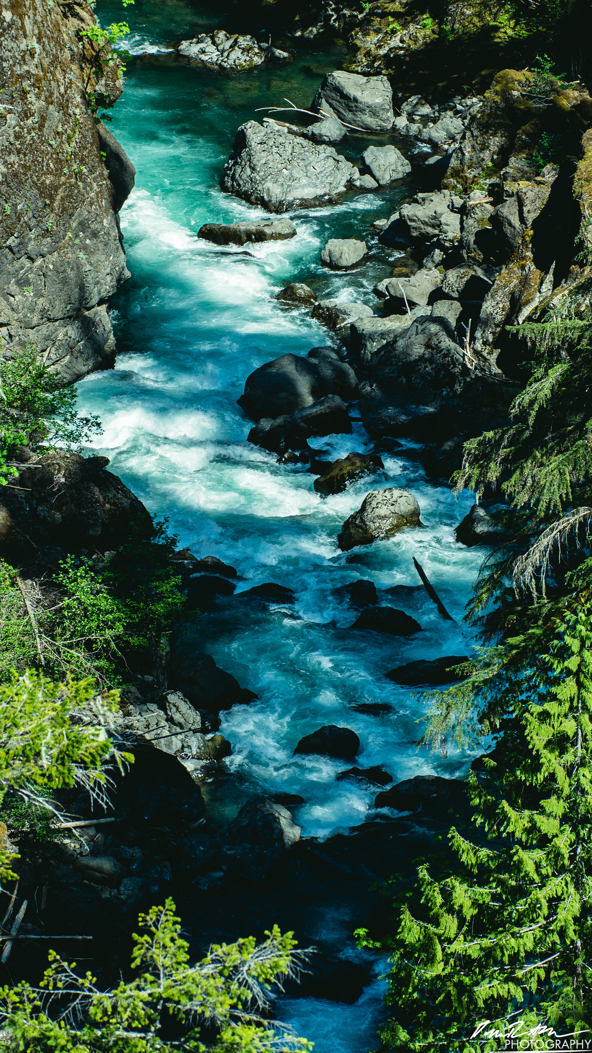 CAUTION - Olympic National Forest